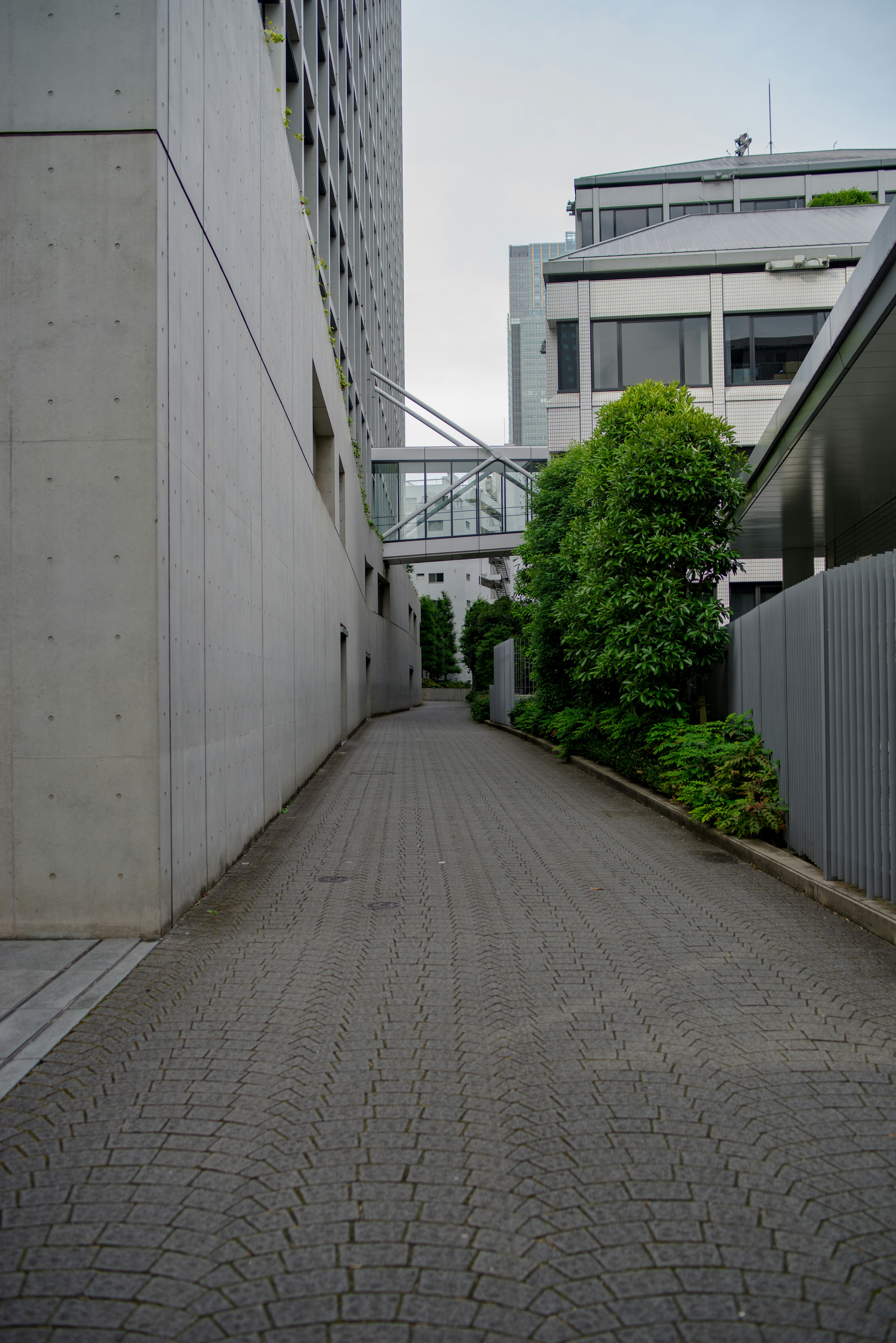 Narrow alleyway in an urban setting featuring greenery and concrete walls