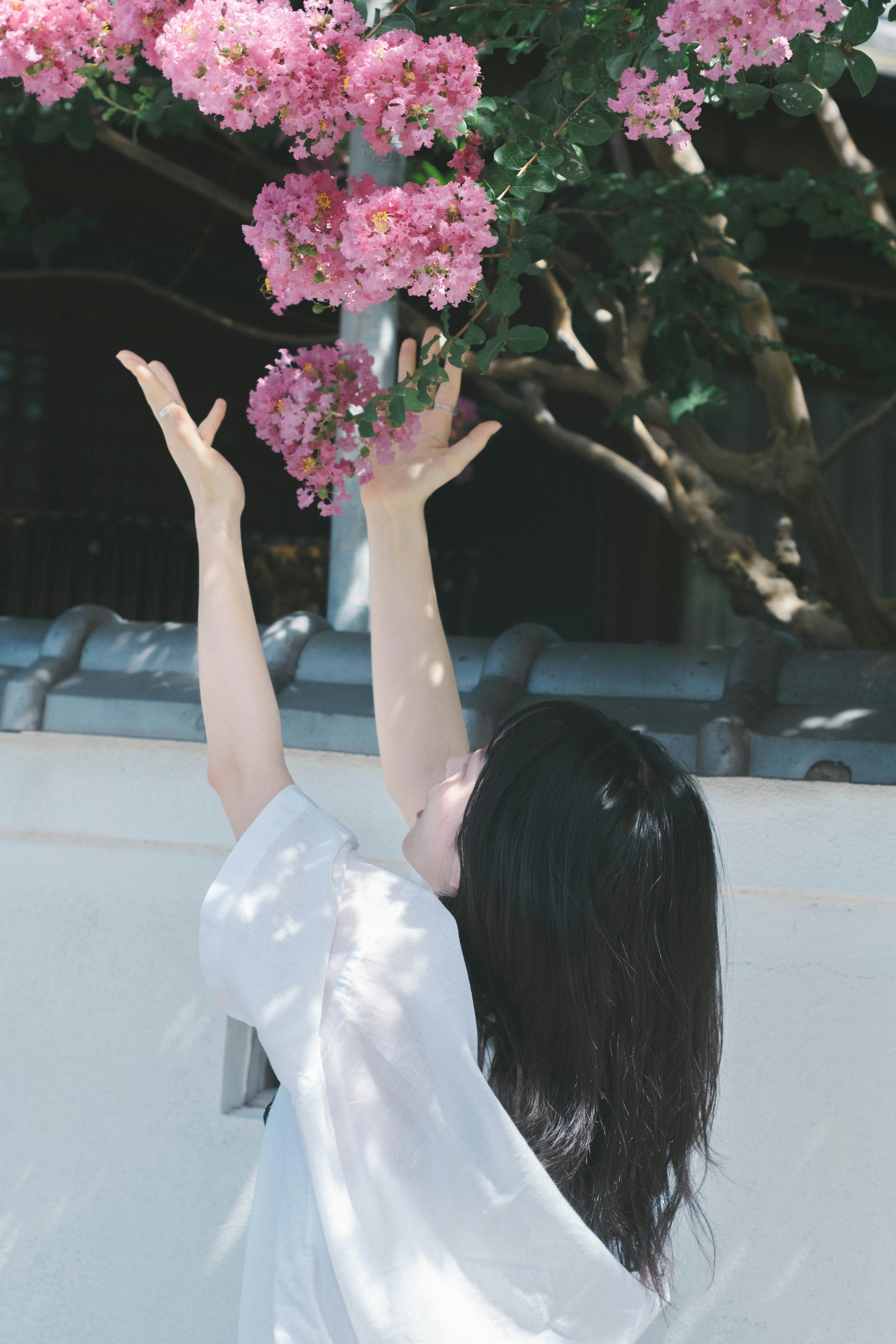 女性が花を手に伸ばしているシーン 鮮やかなピンクの花と緑の葉が特徴