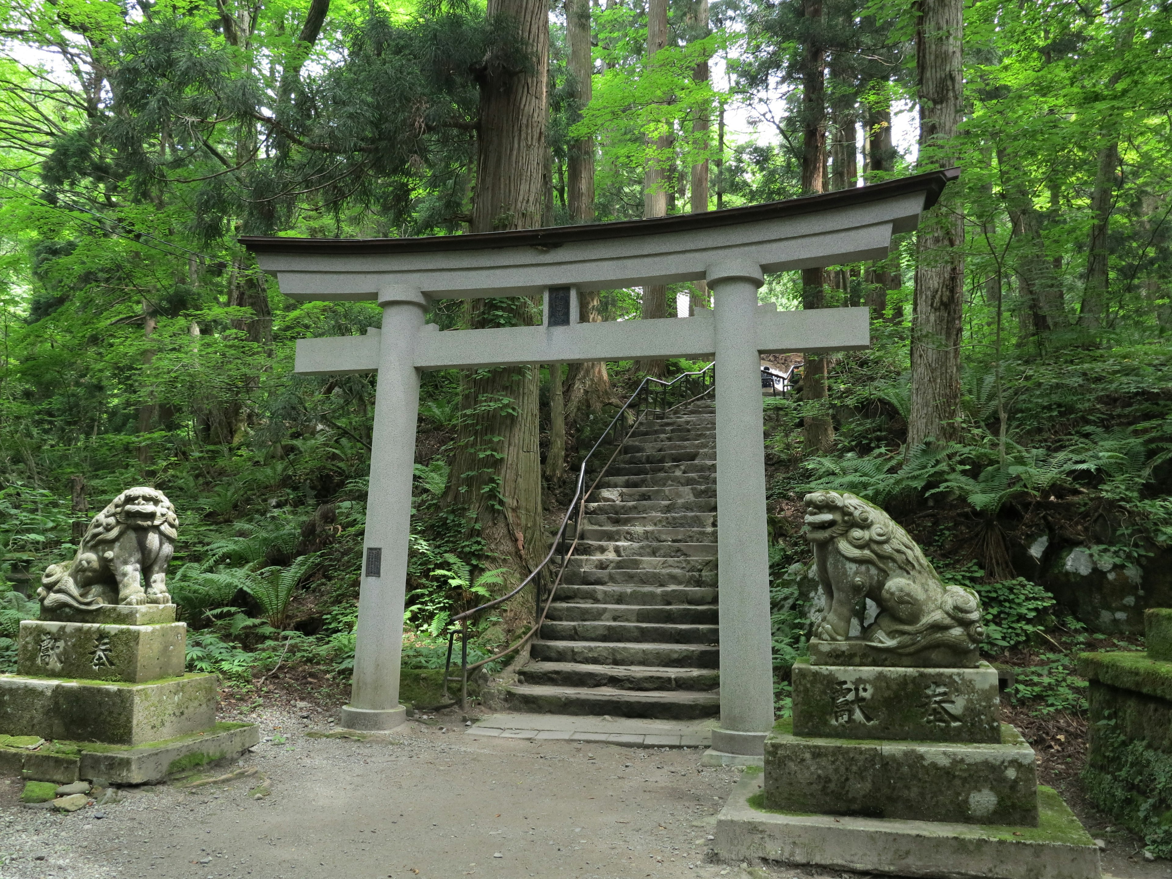 Puerta torii blanca con estatuas de leones de piedra en un bosque frondoso