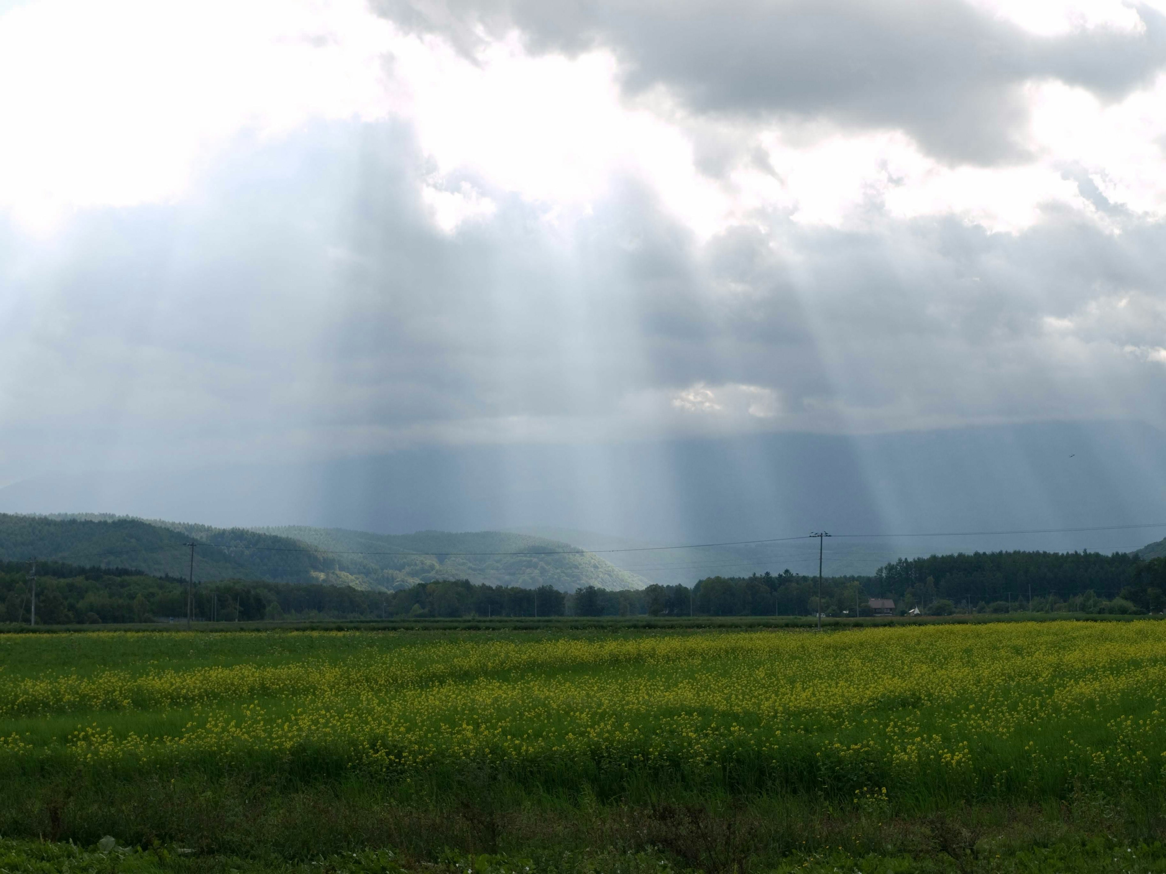 Un paesaggio con campi verdi illuminati da raggi di luce e nuvole sparse