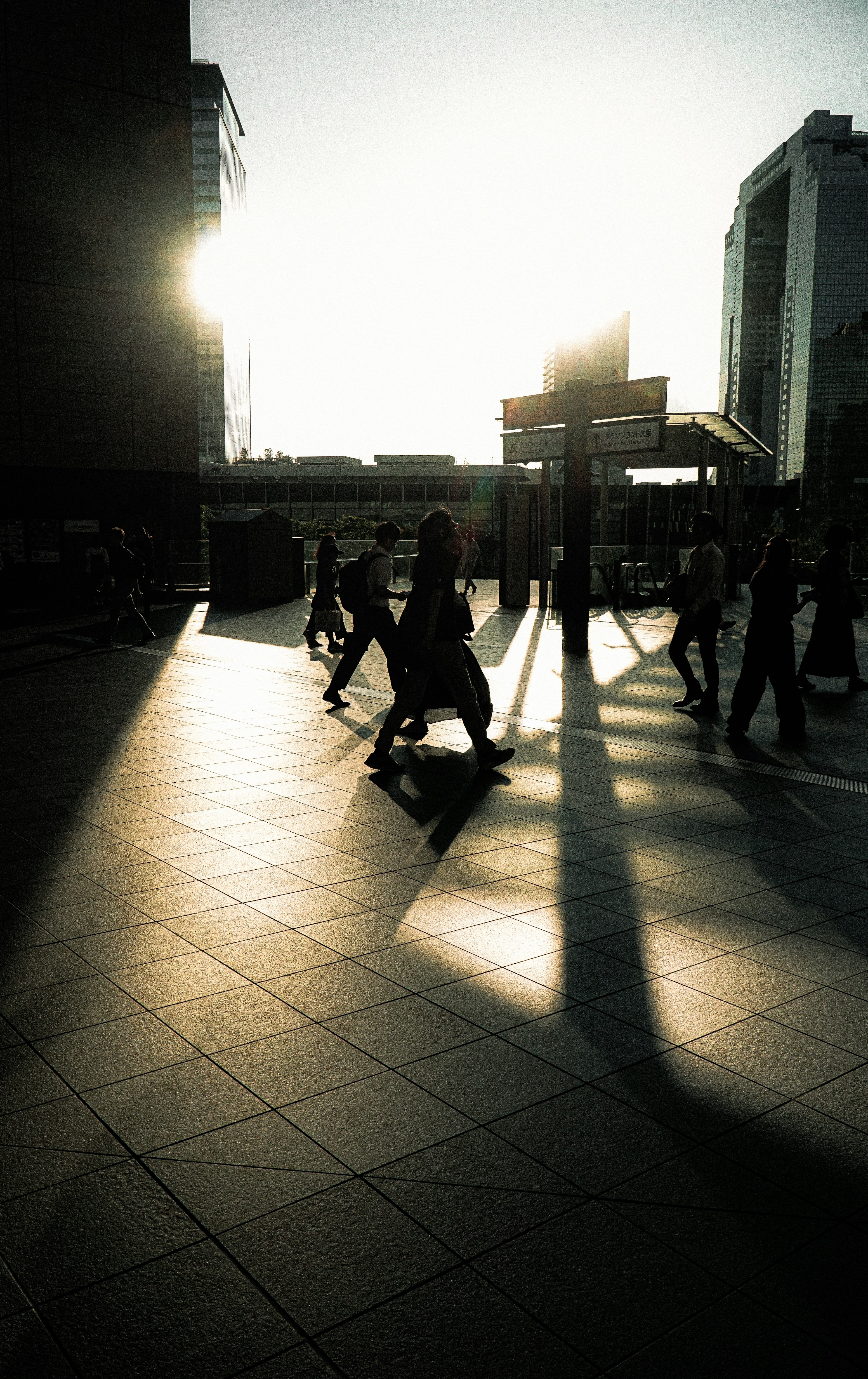 Silhouettes of people walking with long shadows against the sunset