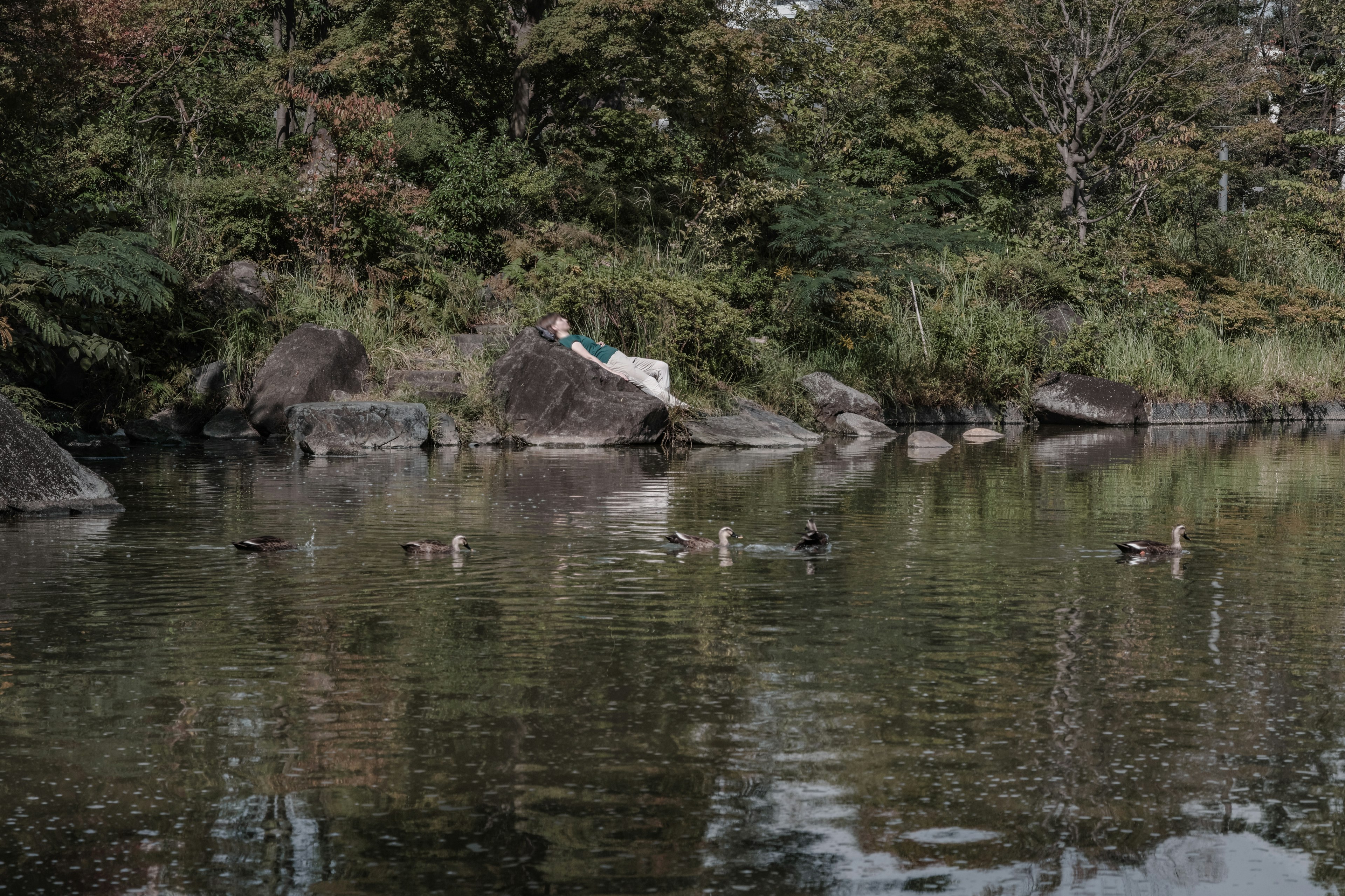 Eine Person sitzt an einem ruhigen See, umgeben von Natur