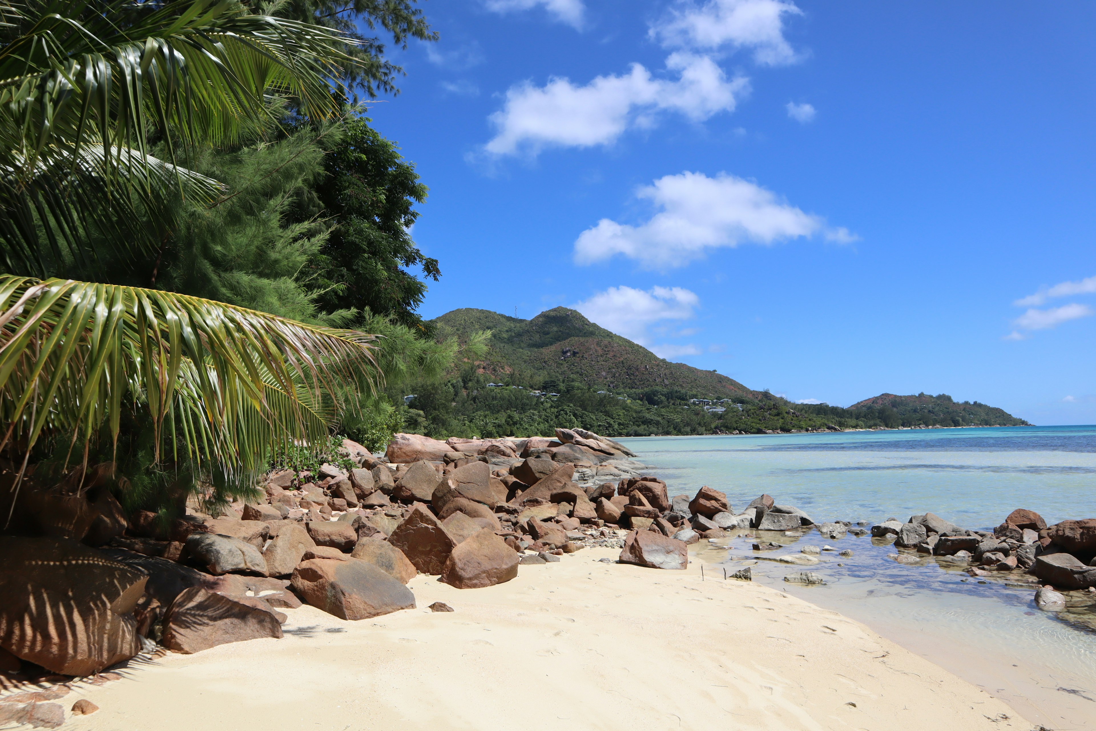 ทิวทัศน์ชายหาดที่สวยงามท้องฟ้าสีฟ้าต้นปาล์มสีเขียวและชายฝั่งหิน