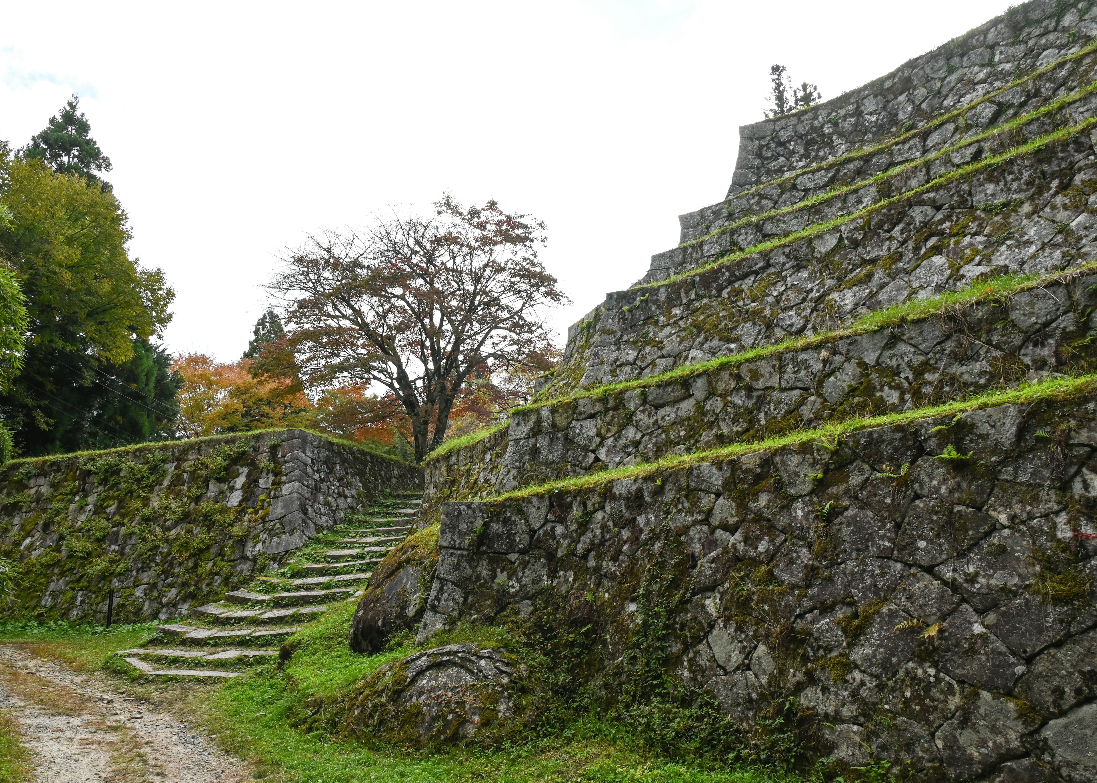 Escaliers en pierre menant à des ruines anciennes avec des murs en terrasses et de la verdure