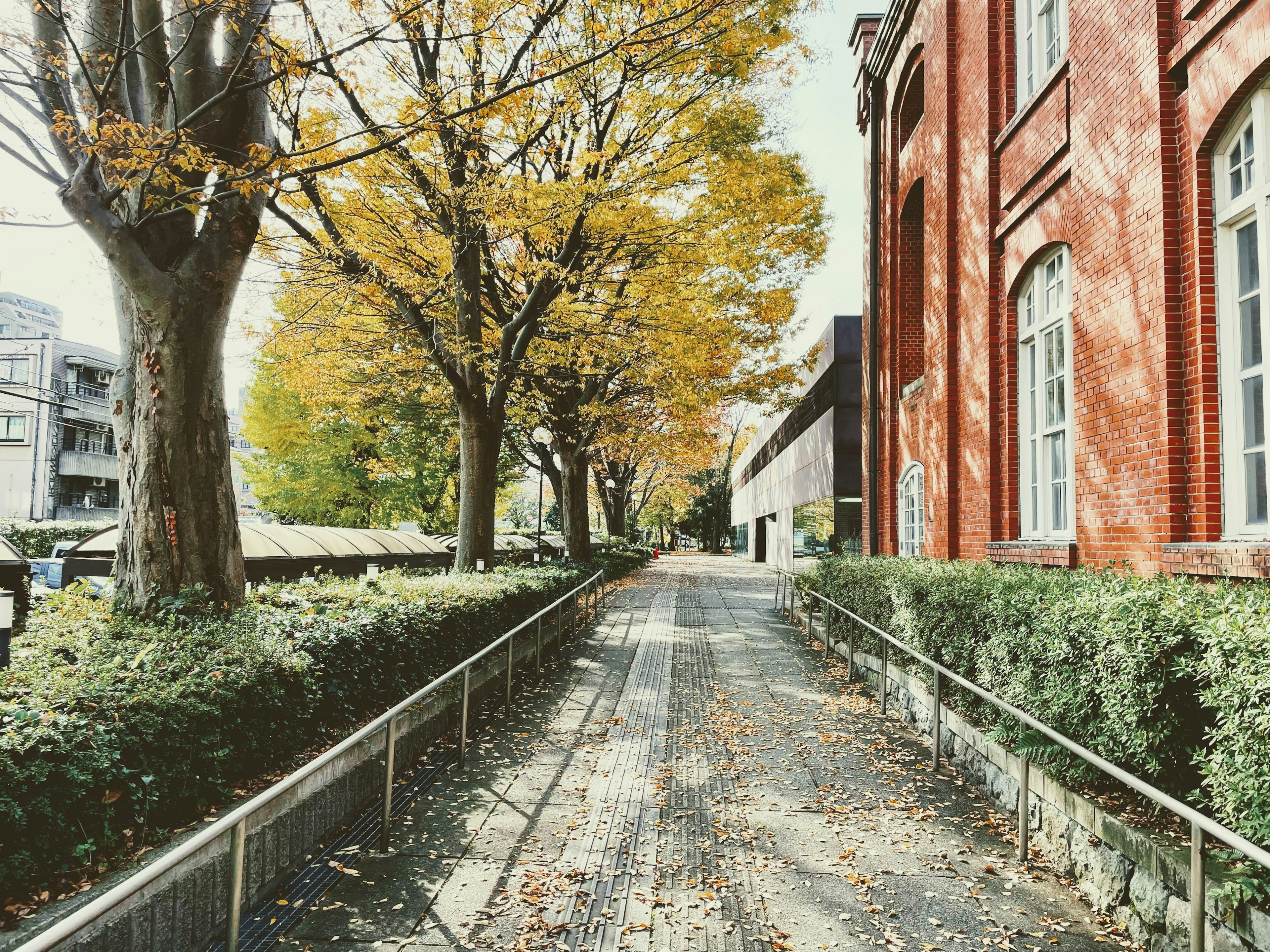 Autumn scene with red brick building and tree-lined pathway