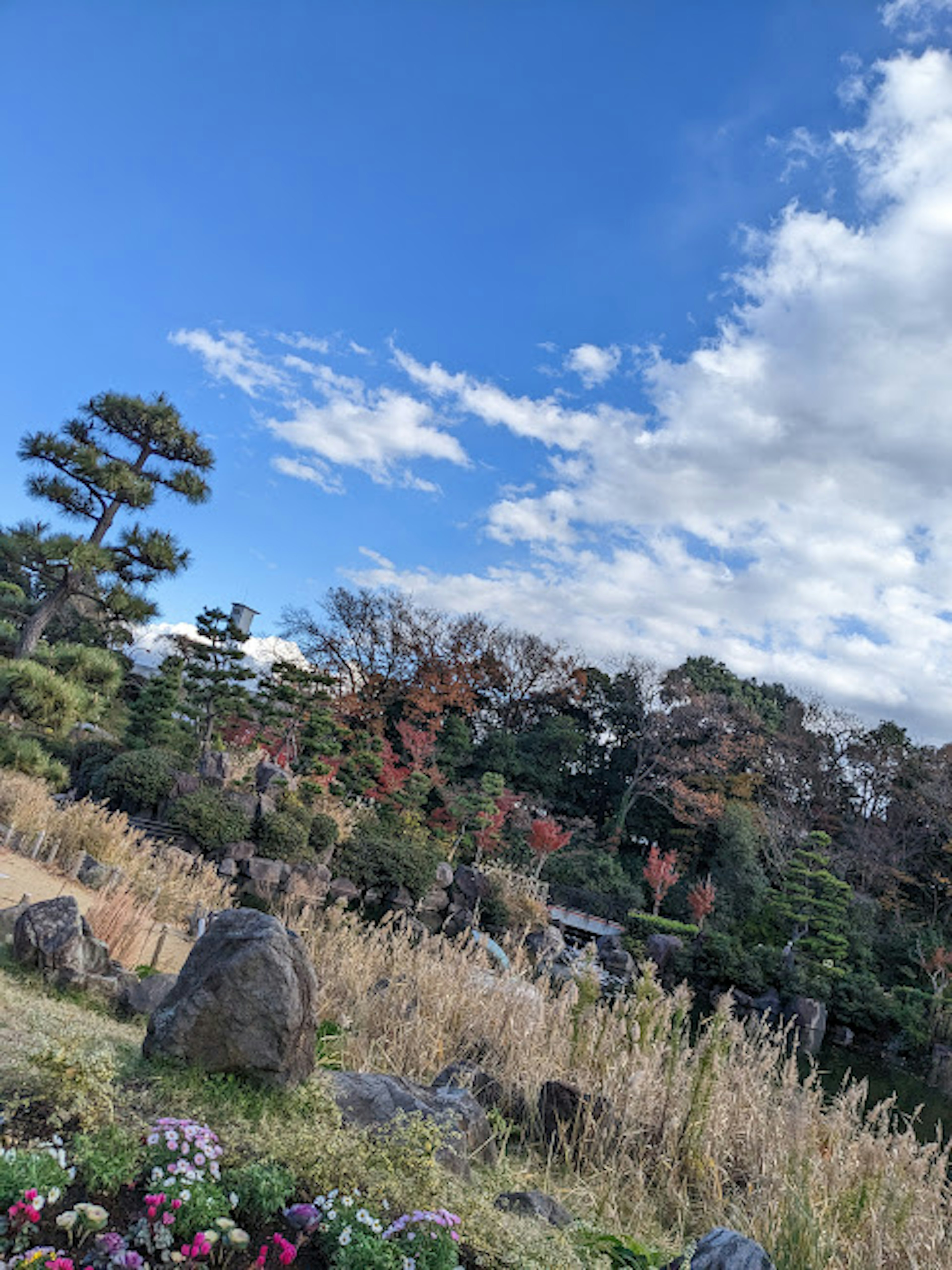 Malersicher Blick auf einen japanischen Garten mit blauem Himmel und Wolken mit Steinen und Blumen