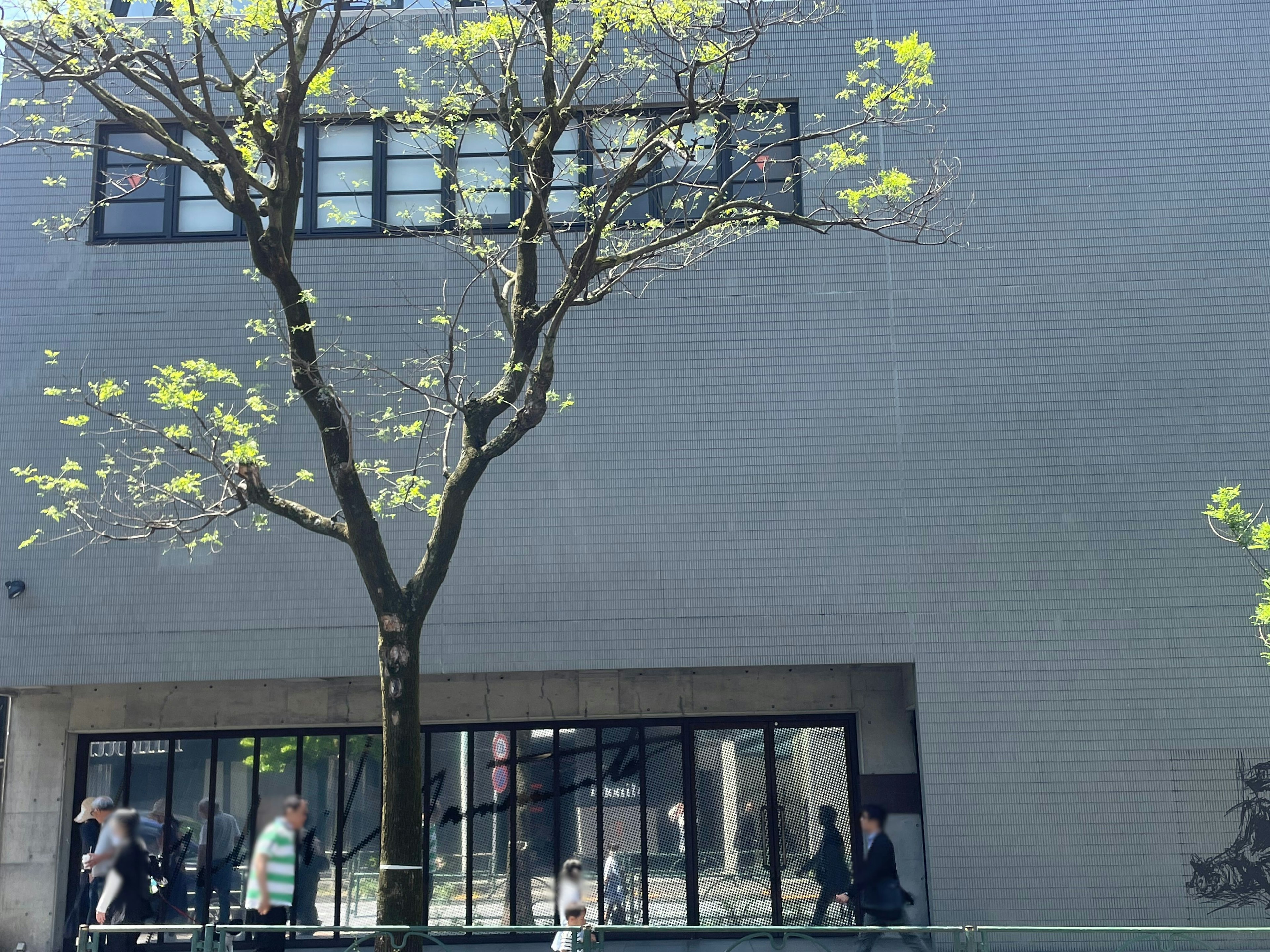 Tree in front of a modern building with pedestrians