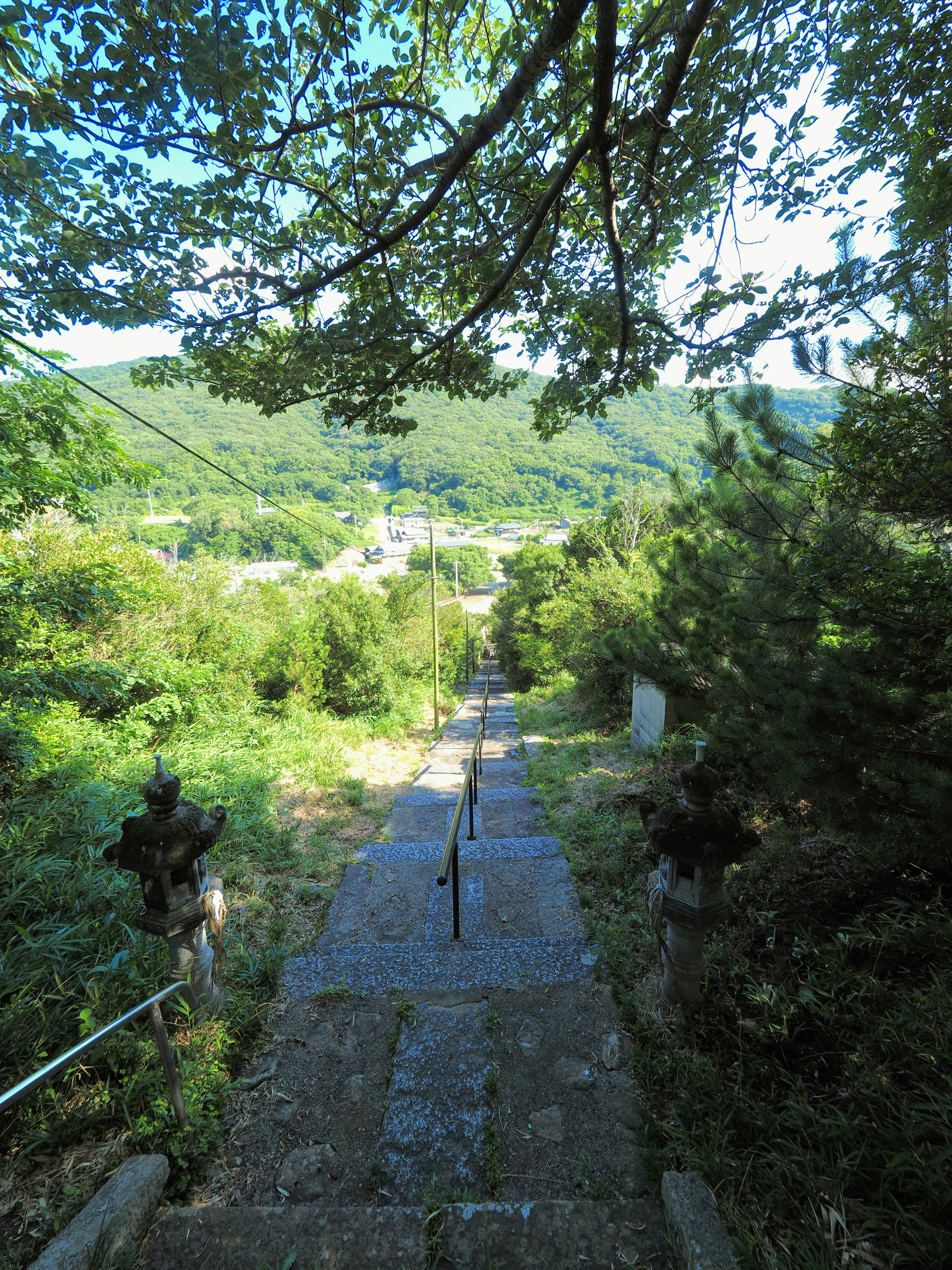 Escaliers en pierre menant à travers une verdure luxuriante avec des collines au loin