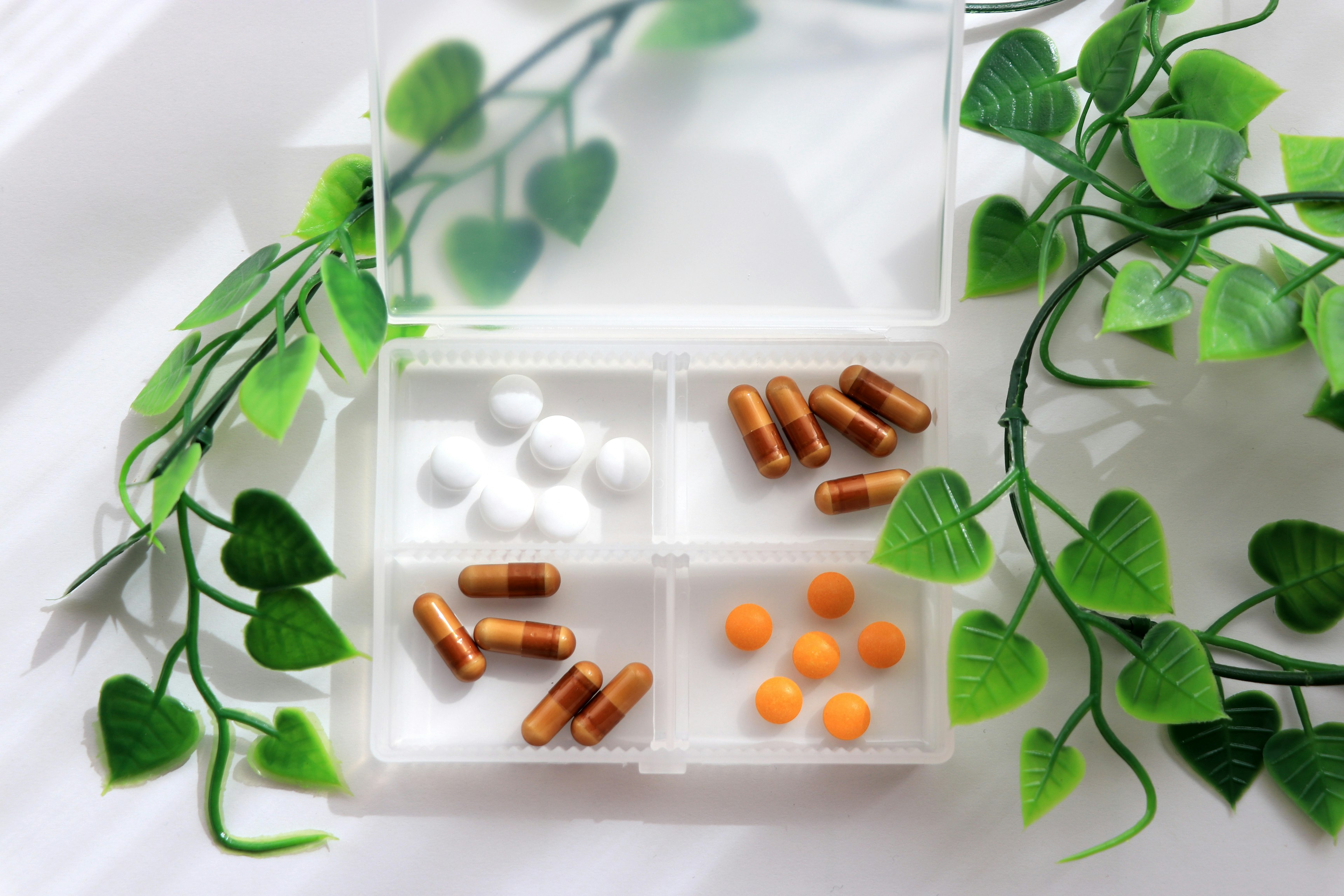 Clear pill organizer with white tablets orange pills and brown capsules surrounded by green leaves