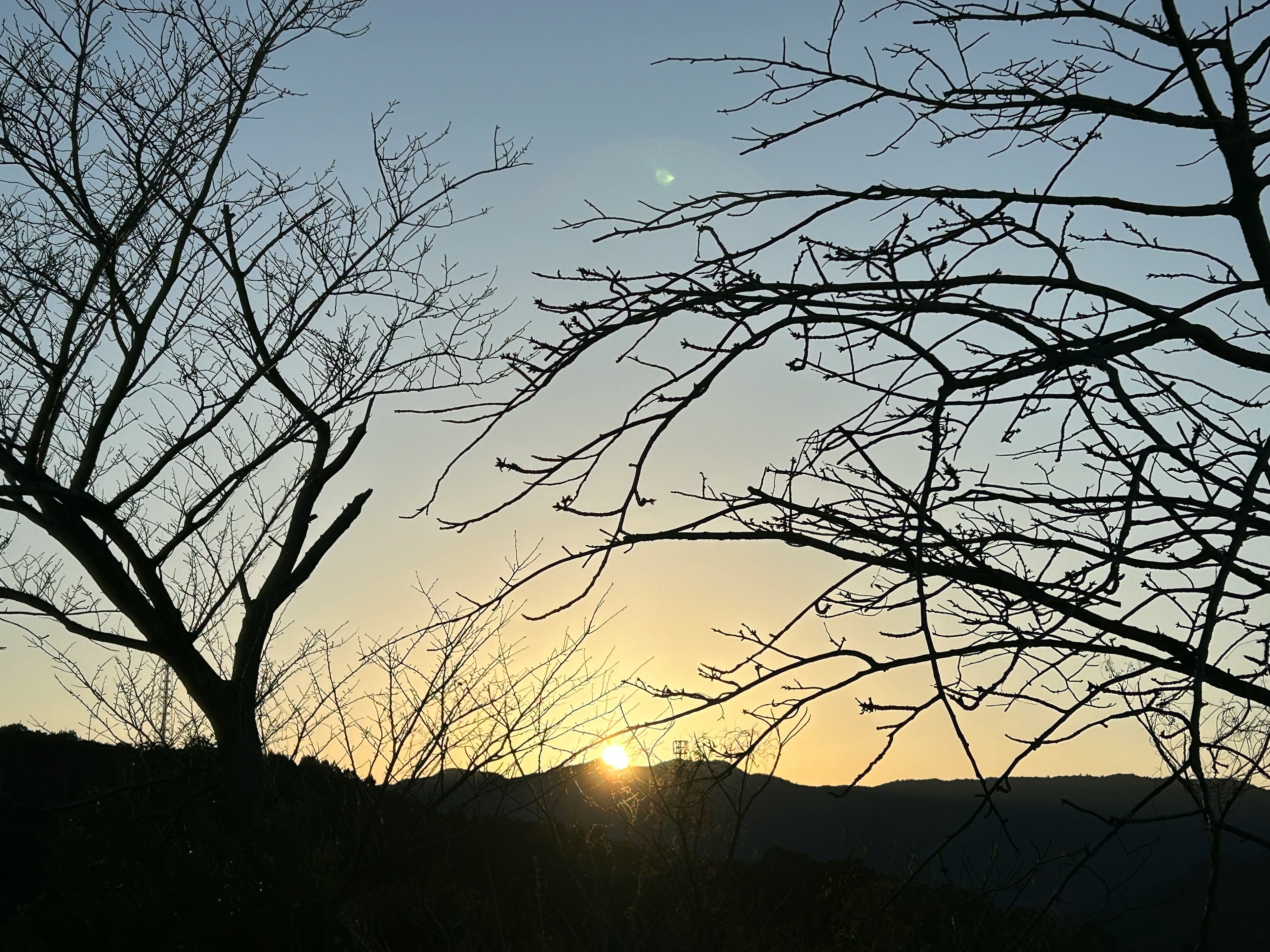 Sunset behind mountains with silhouettes of bare trees