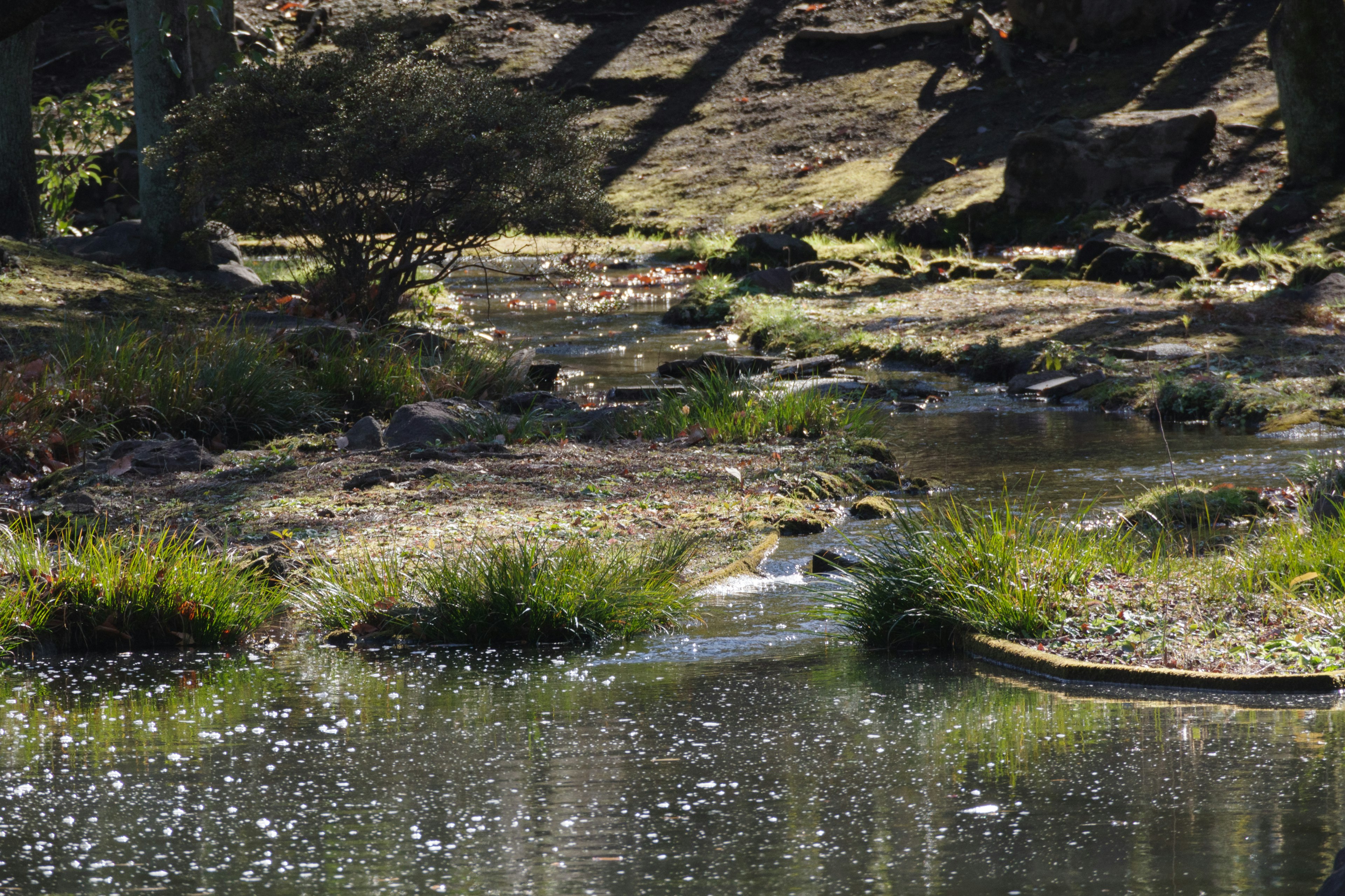 Serene stream with a reflective water surface and surrounding greenery