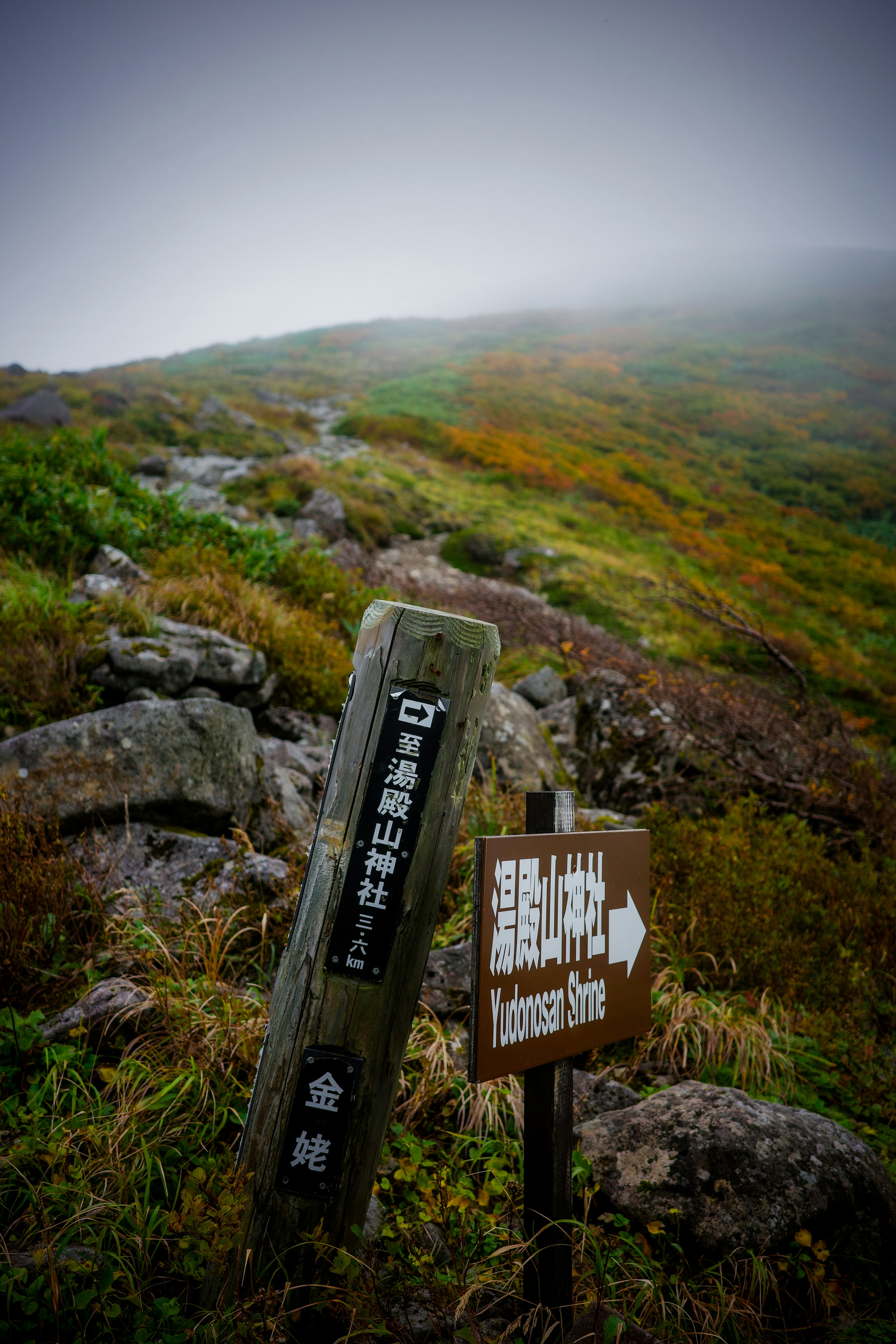 霧の中の山道と道標の画像 緑と茶色の草が広がる風景