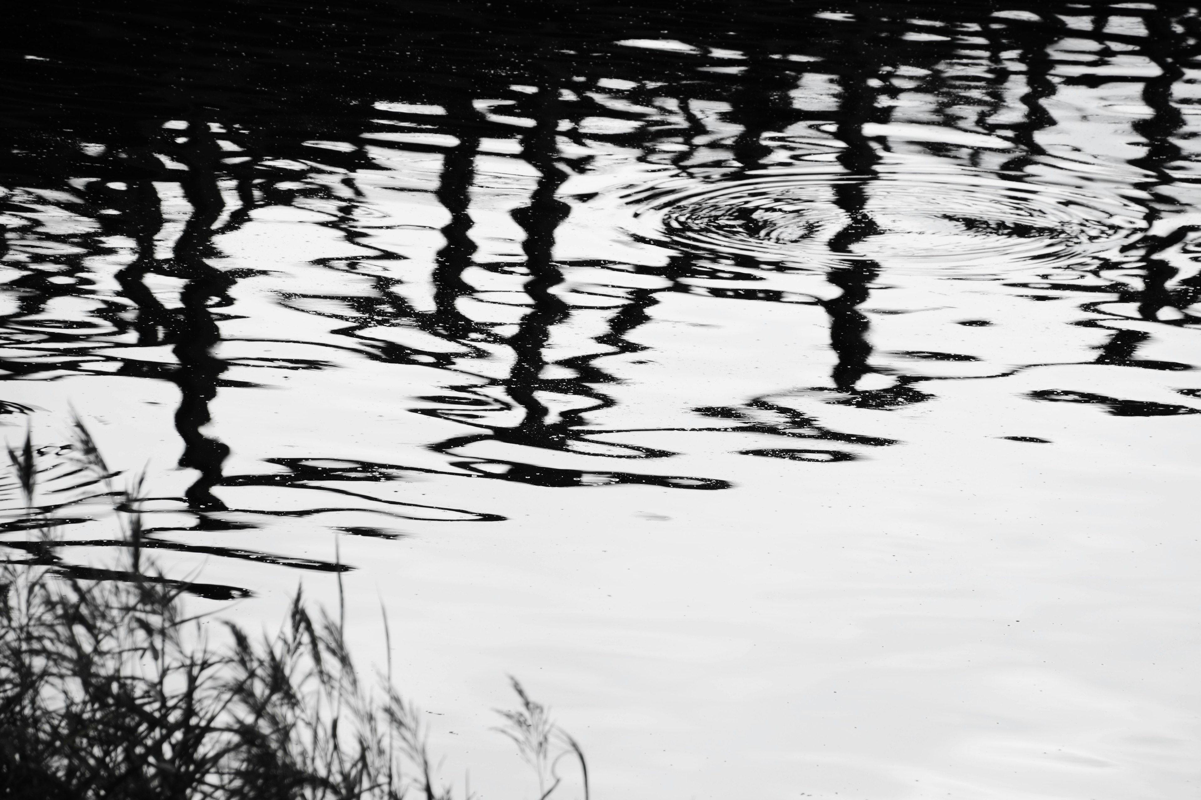 Reflejos y ondas en la superficie del agua