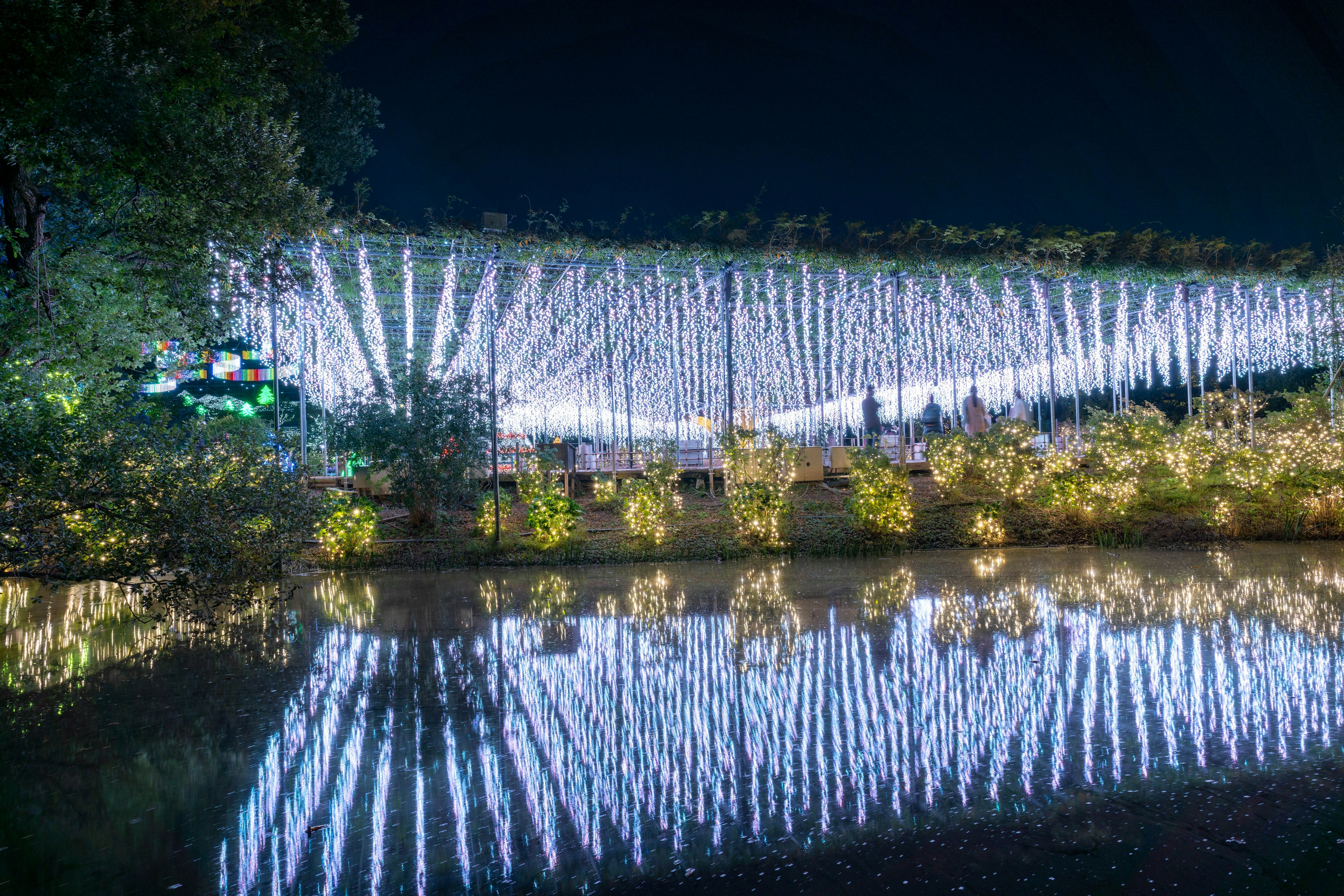 Paesaggio del giardino splendidamente illuminato di notte riflesso sulla superficie dell'acqua