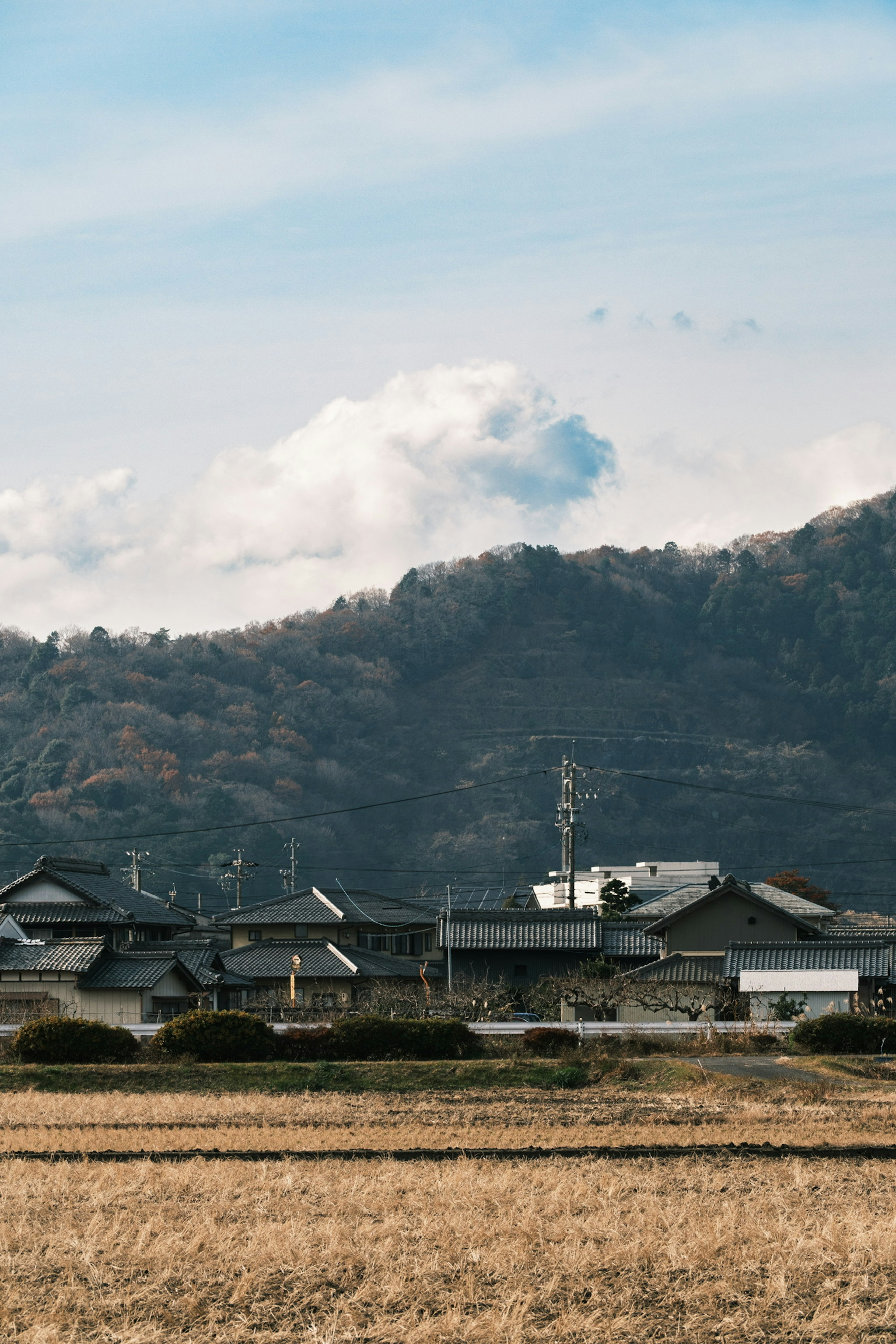 山の背景にある日本の伝統的な家屋が並ぶ風景