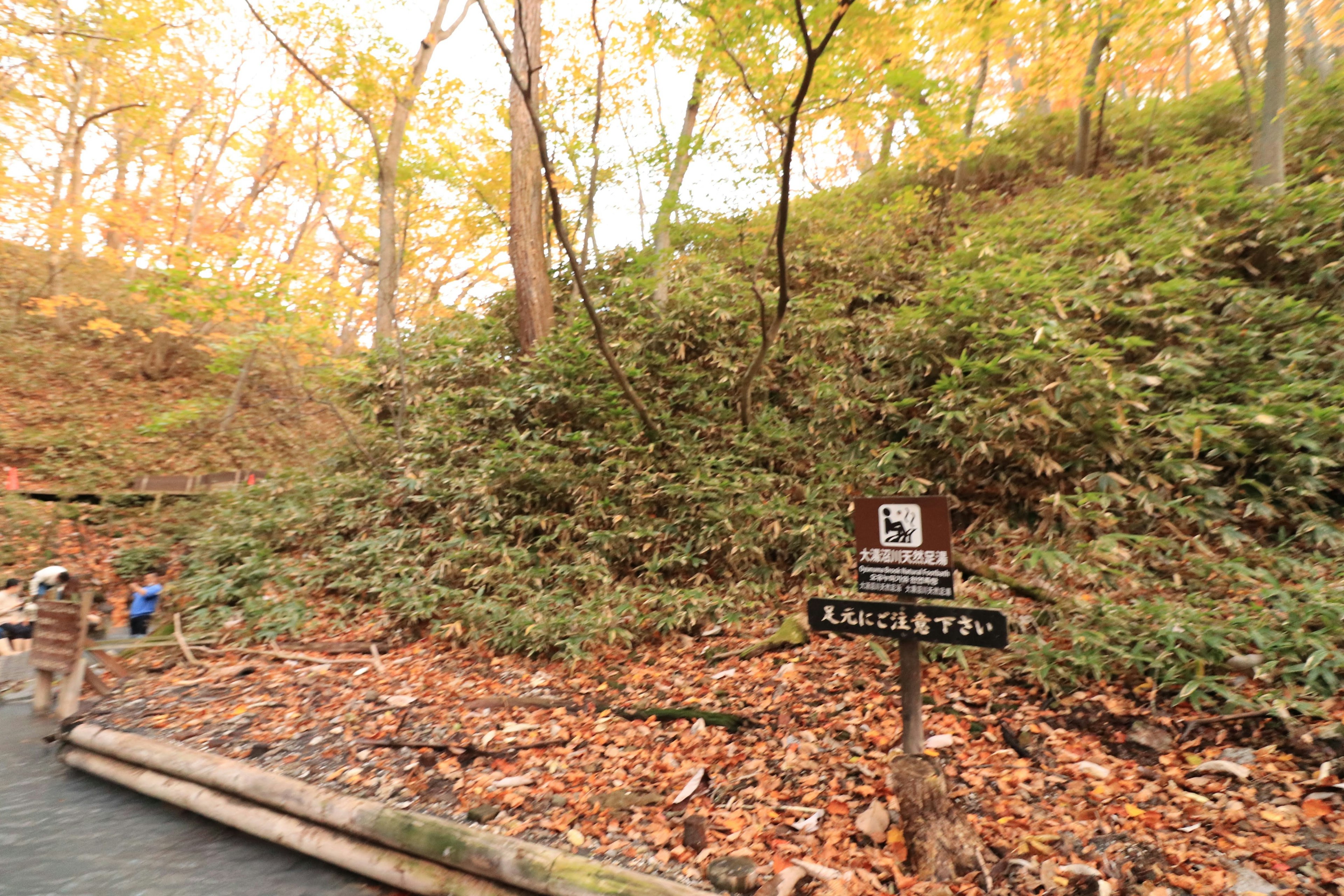 Pathway with signage in autumn landscape