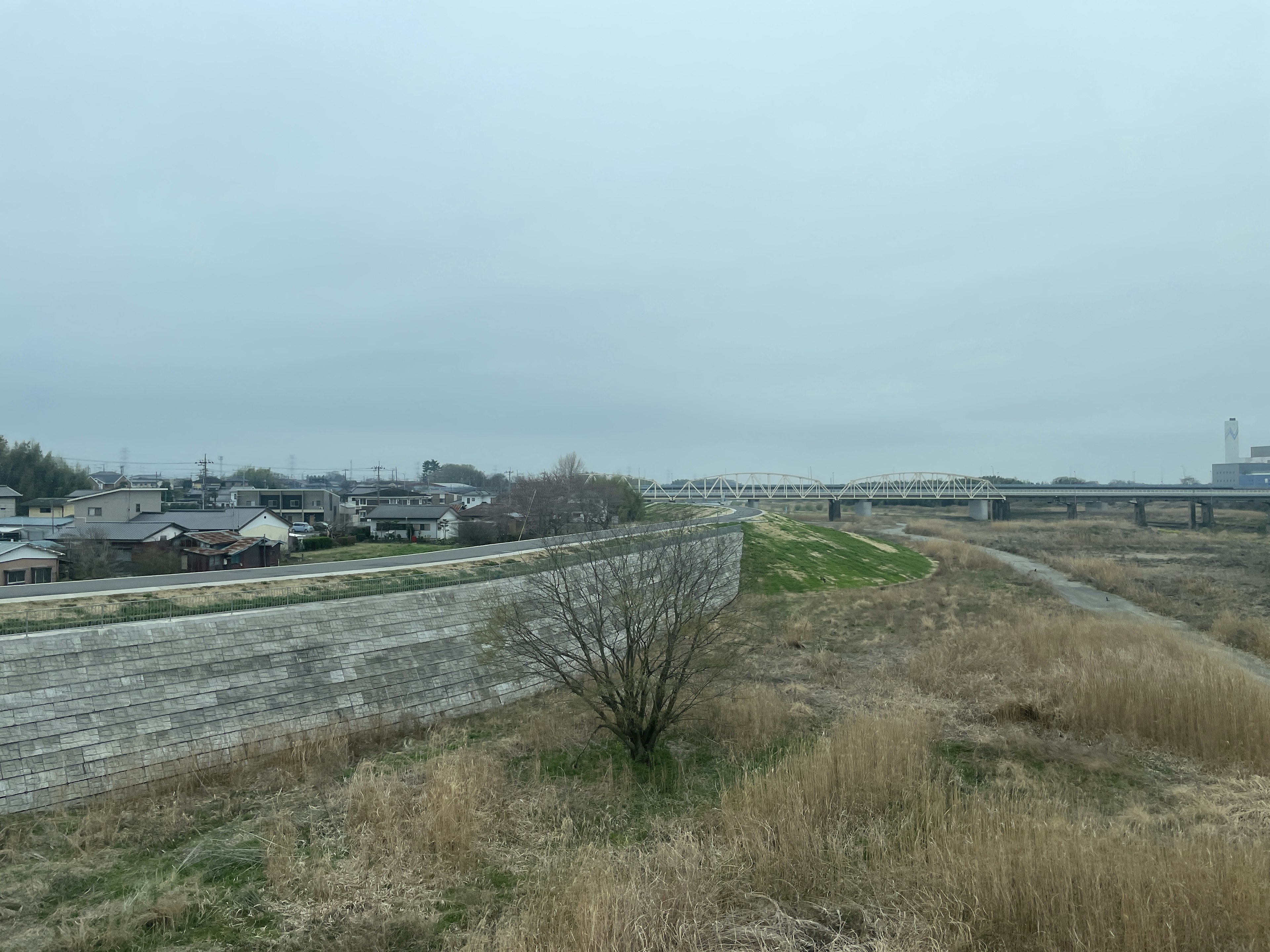 Quiet riverside landscape with cloudy sky and visible houses