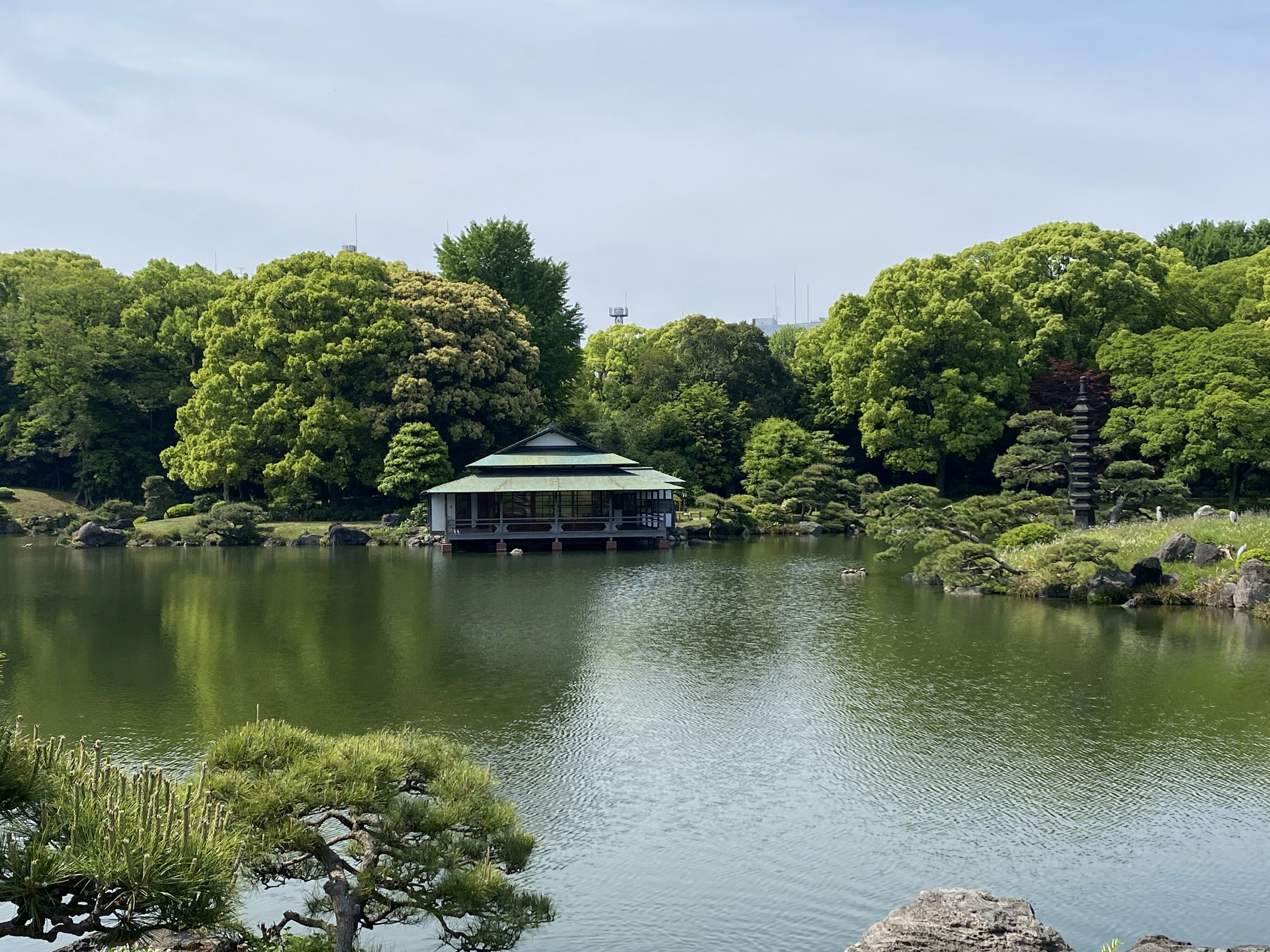 緑豊かな木々に囲まれた池の中央にある伝統的な日本の建物