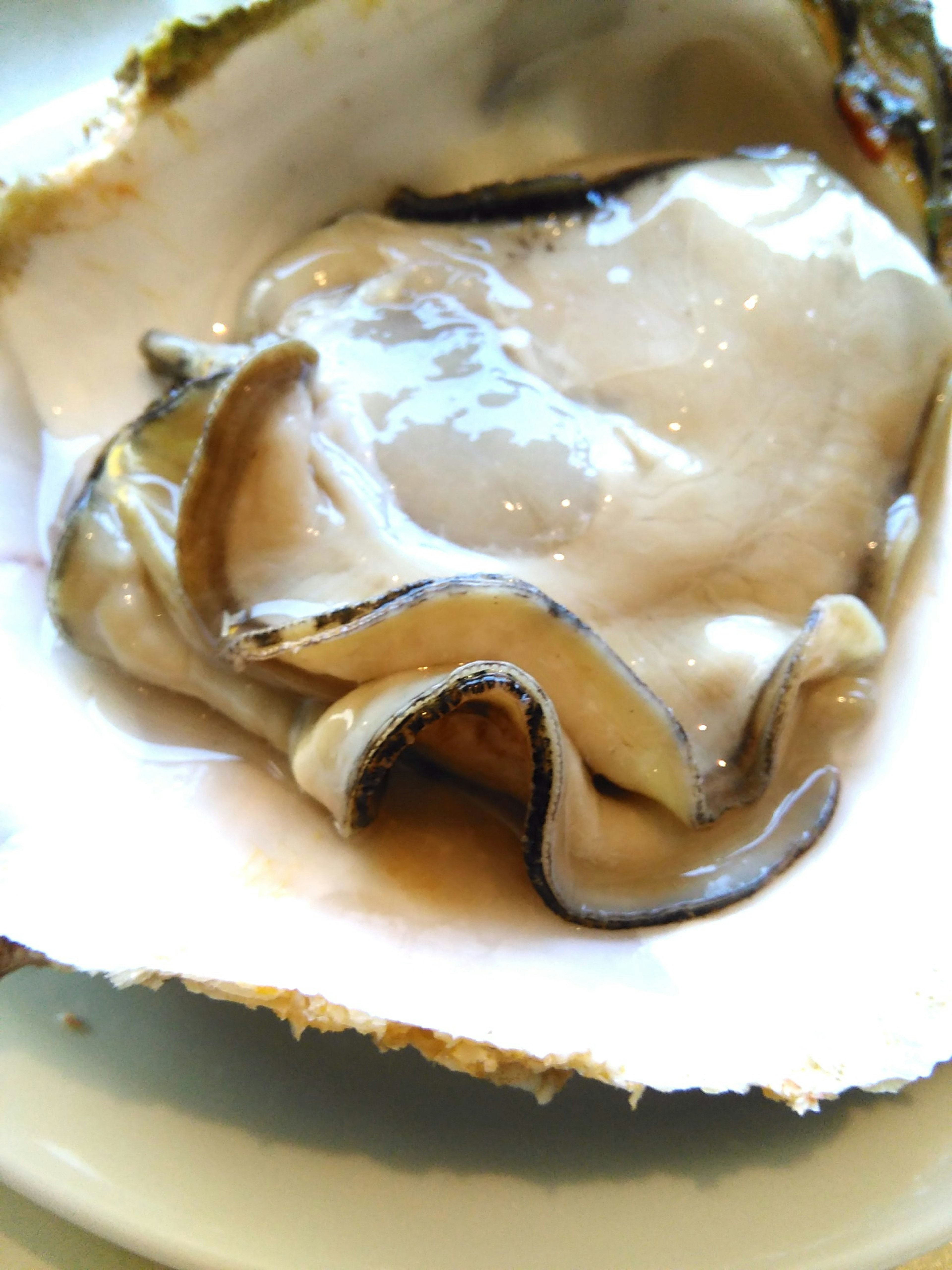 Fresh oyster inside its shell