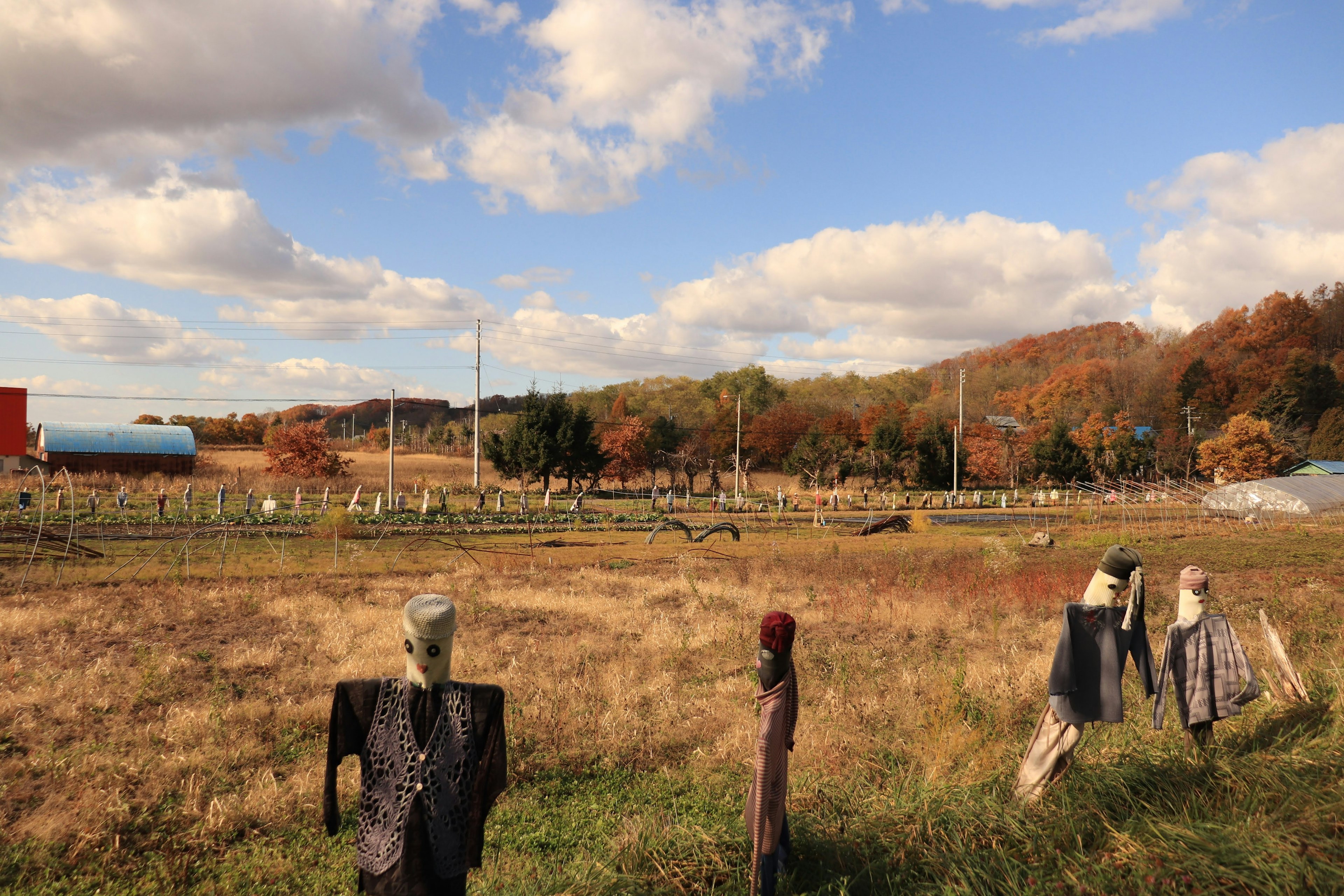 Scarecrows in a rural landscape with autumn trees