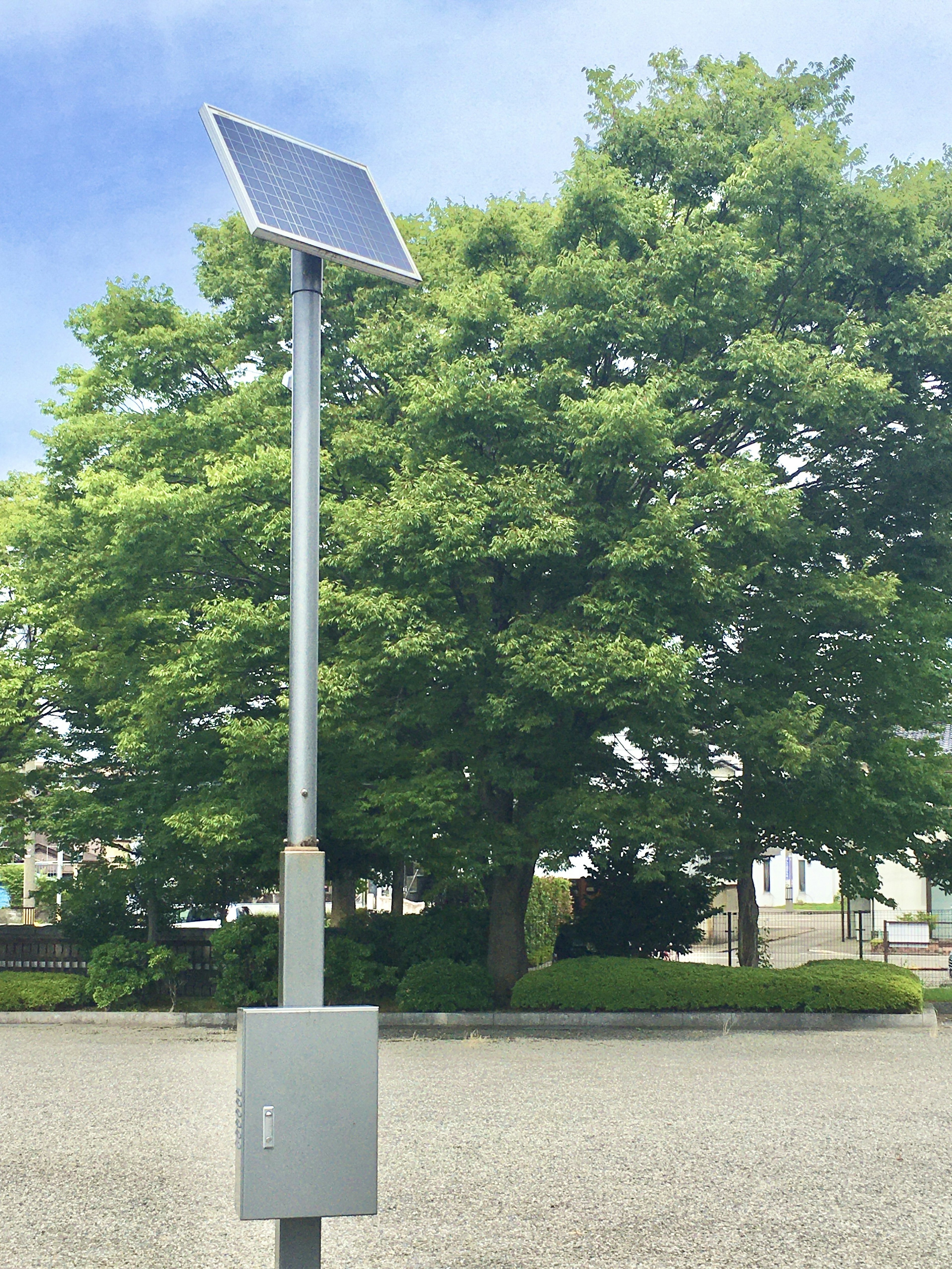 Pole with solar panel and a green tree in the background