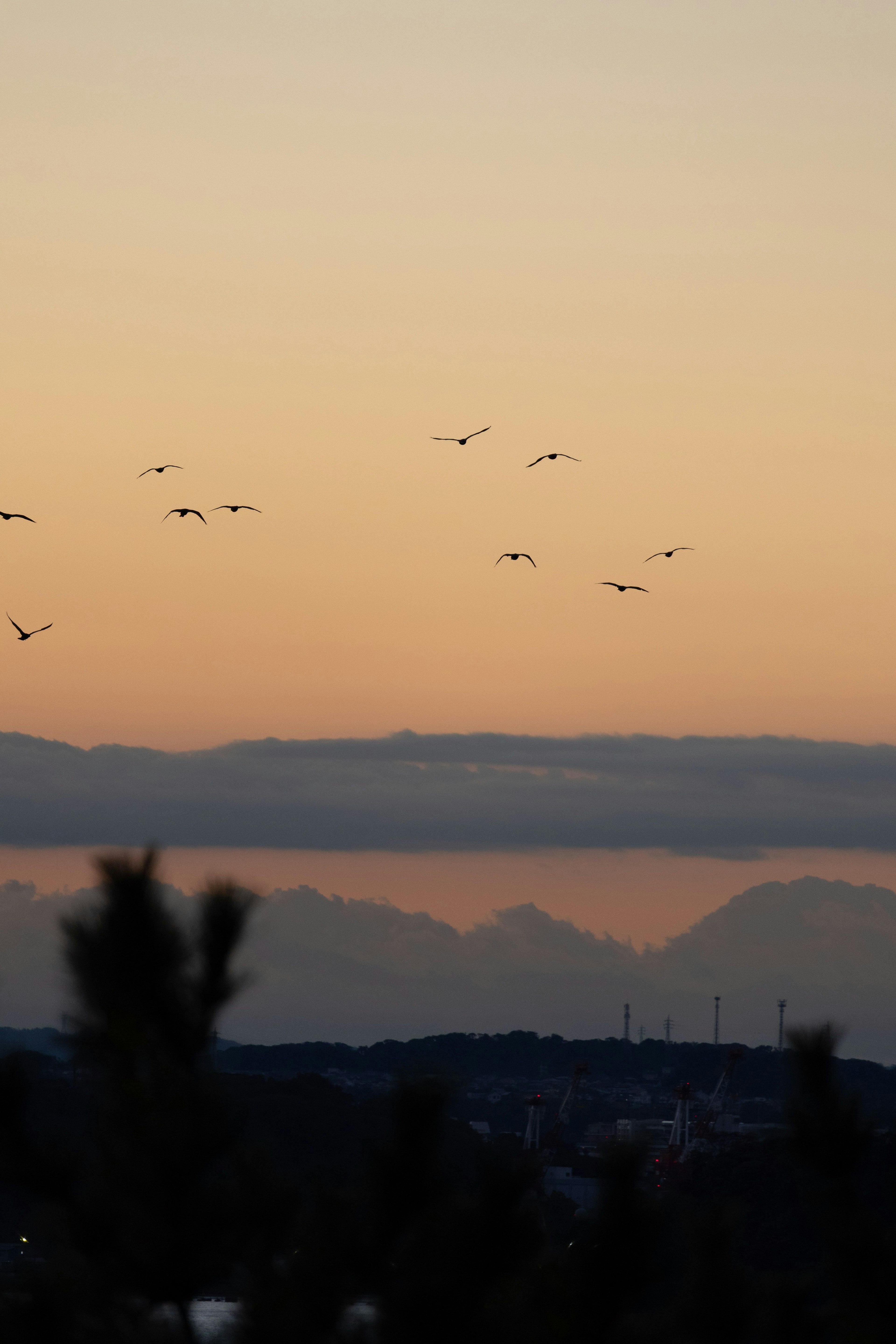 夕焼けの空に飛ぶ鳥たちと山々のシルエット