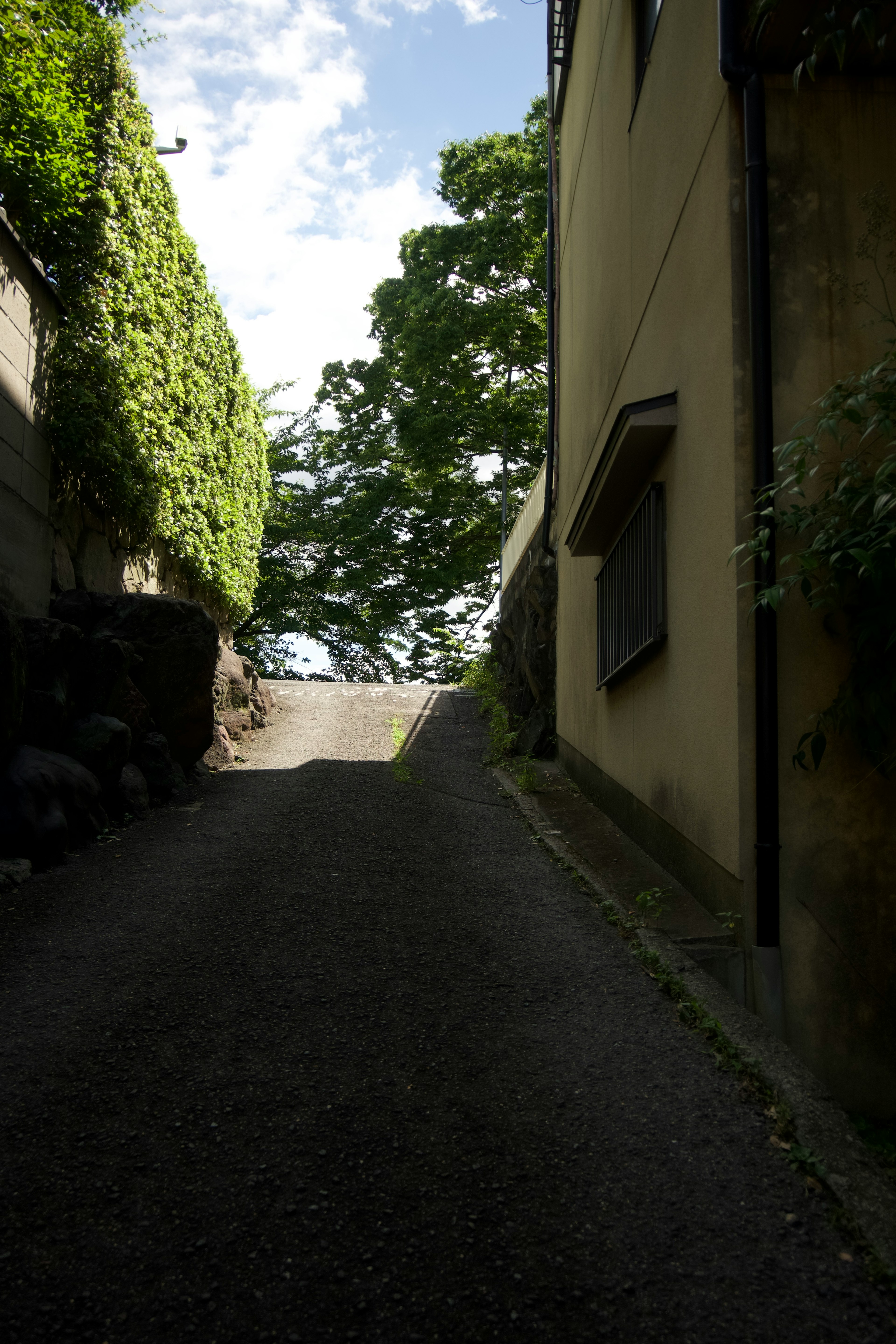 Narrow path leading up with greenery and blue sky visible