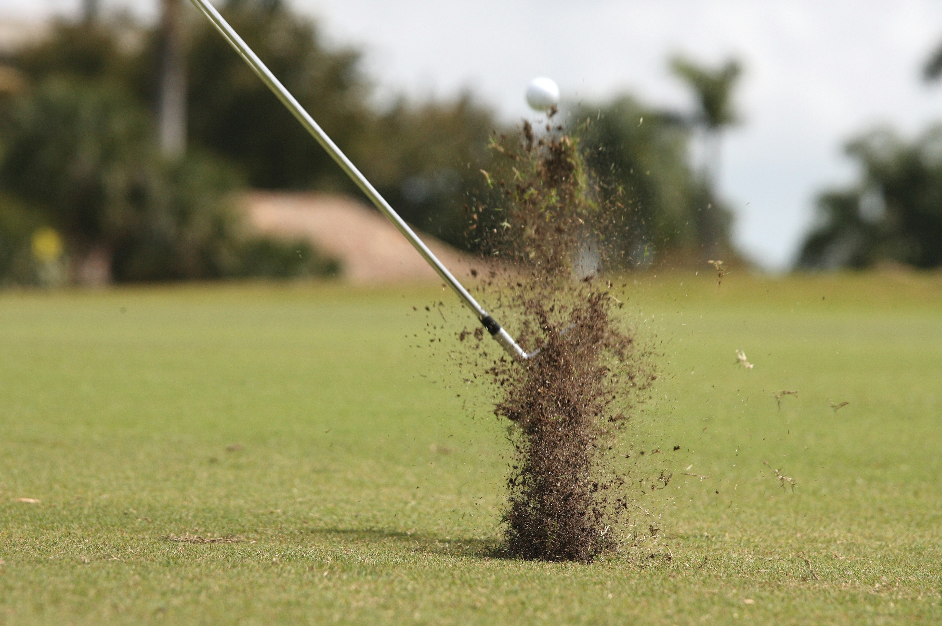 Hình ảnh ghi lại khoảnh khắc gậy golf đánh vào cỏ với quả bóng trên không cỏ xanh của sân golf ở nền phía sau