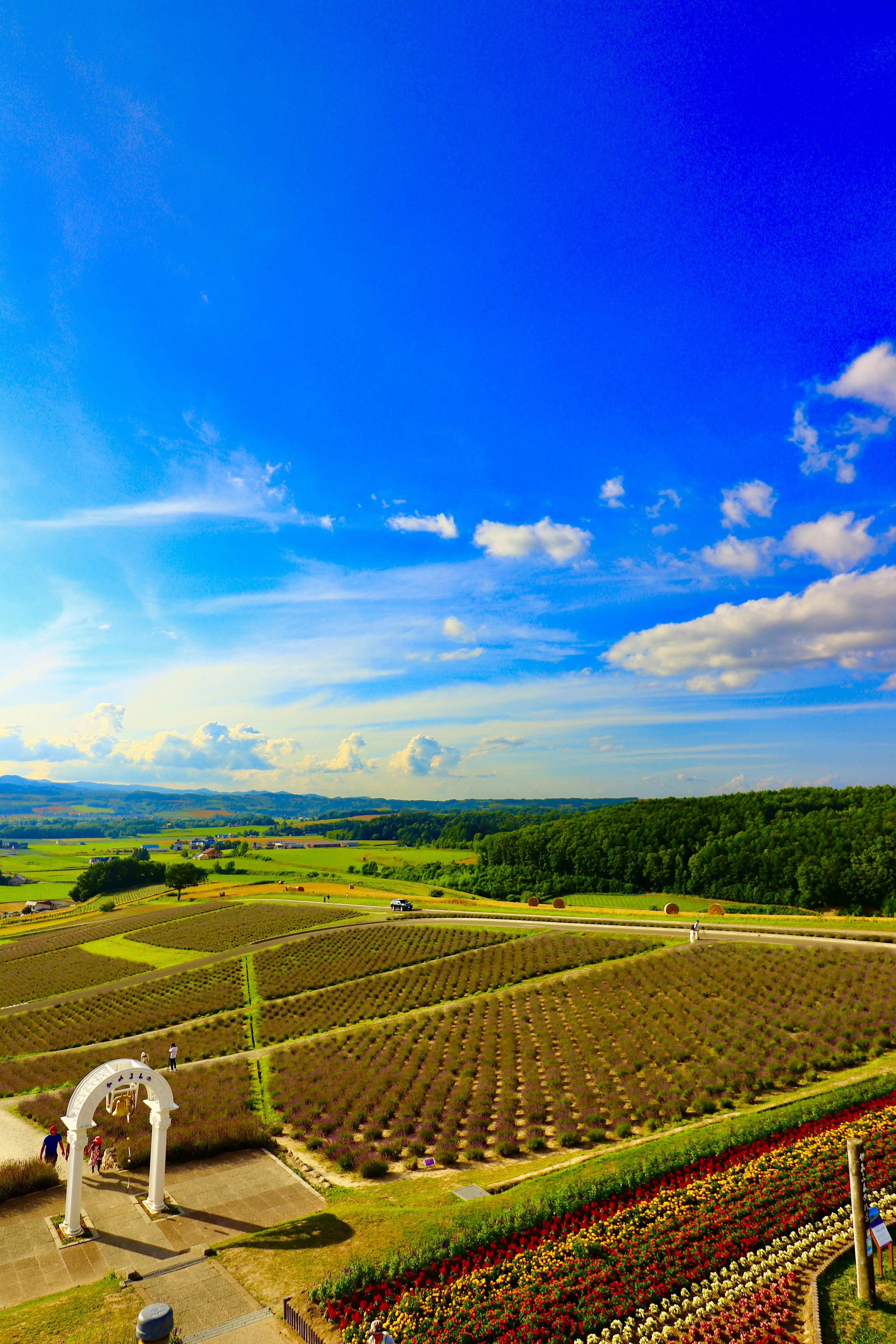 Weite landwirtschaftliche Flächen unter einem strahlend blauen Himmel mit verstreuten Wolken