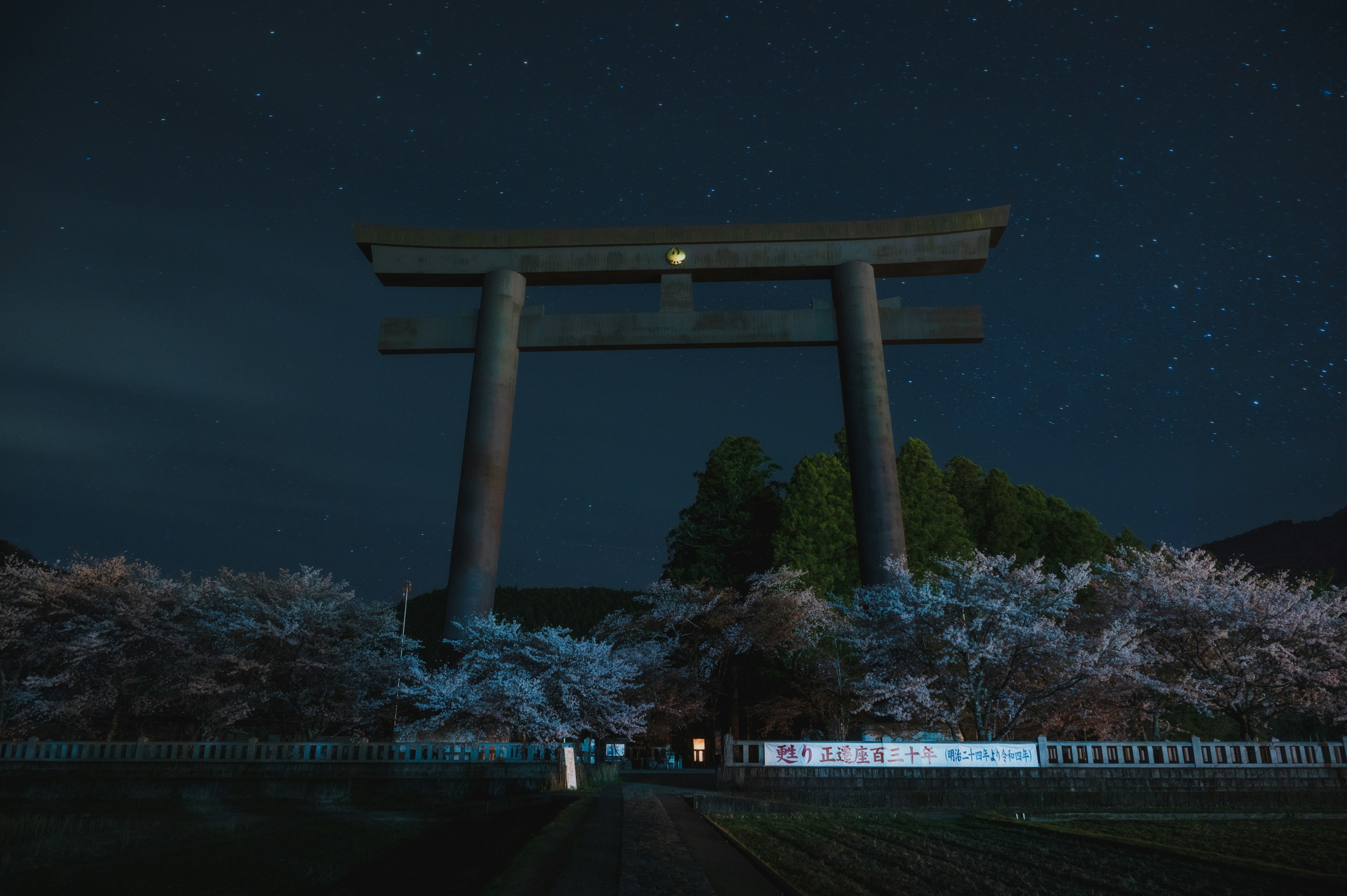 Gran puerta torii bajo un cielo nocturno con cerezos