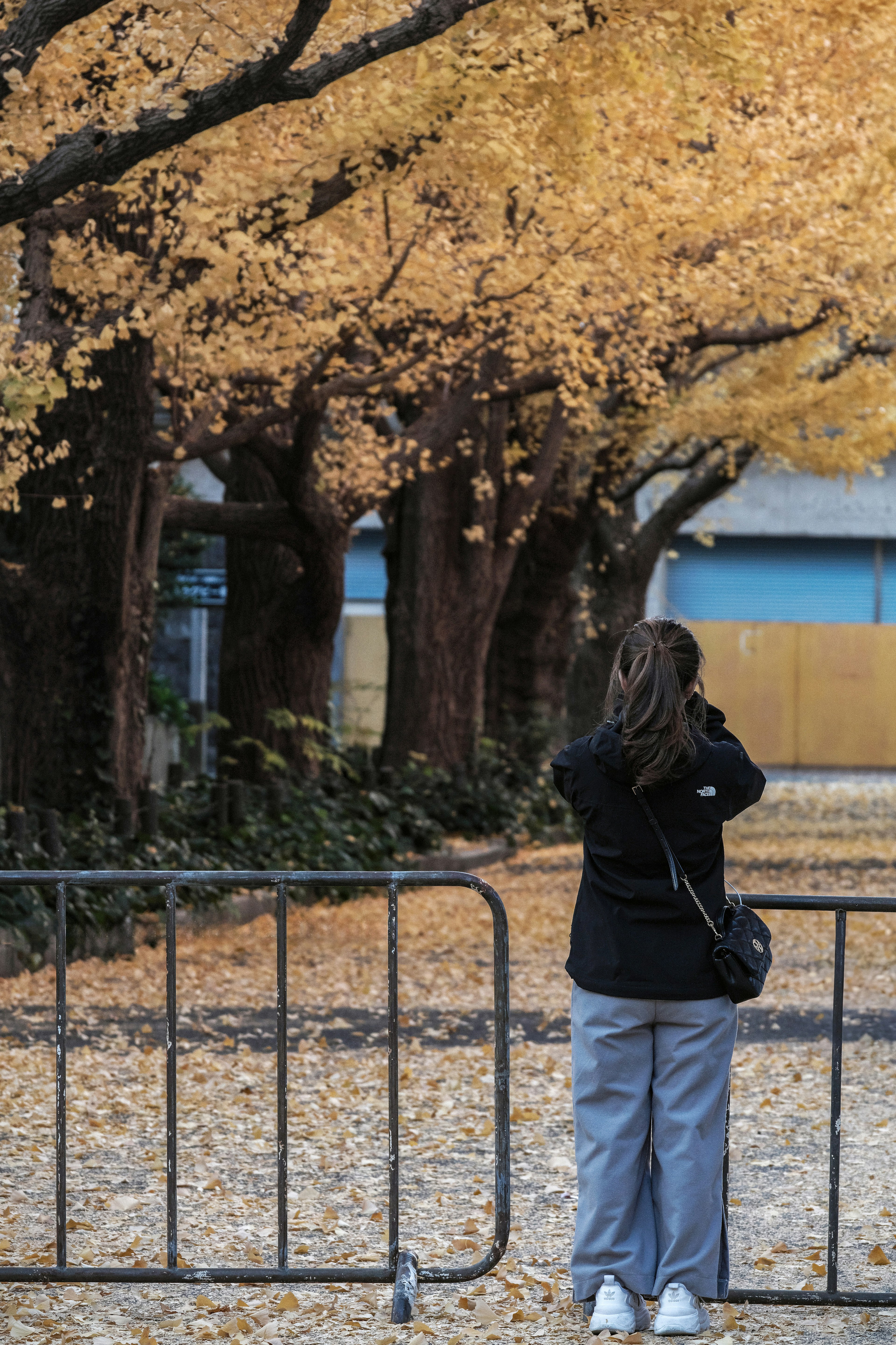 Femme se tenant devant des arbres d'automne dorés