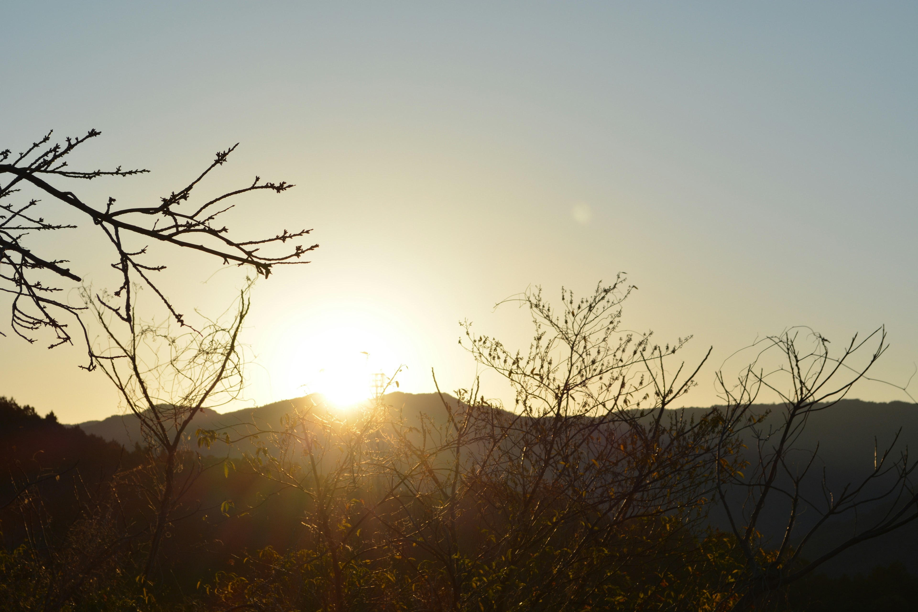 Sunrise behind mountains with silhouetted trees