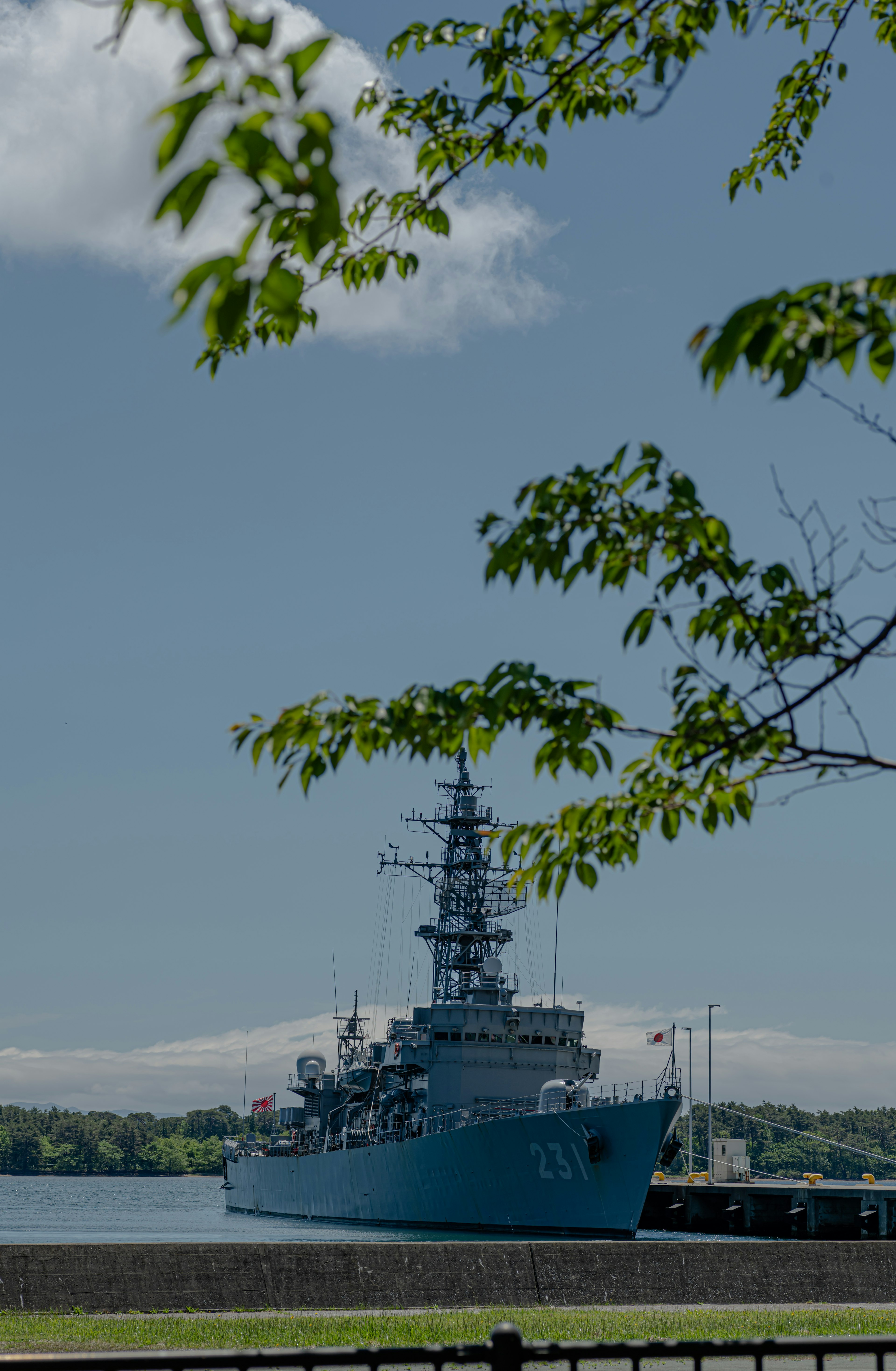 青い軍艦が水辺に停泊している風景 葉のある木が前景にある