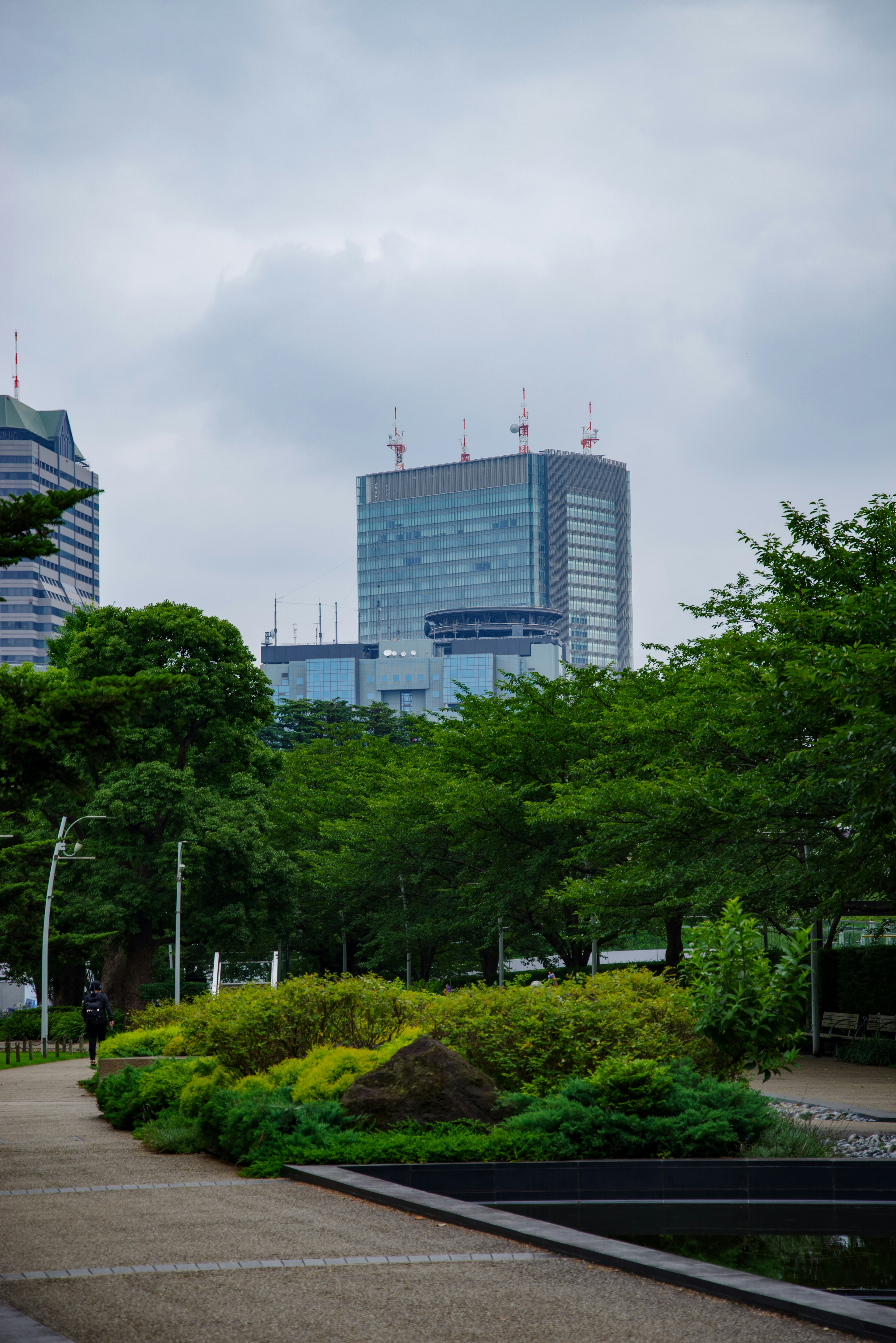 Taman subur dengan gedung tinggi di latar belakang