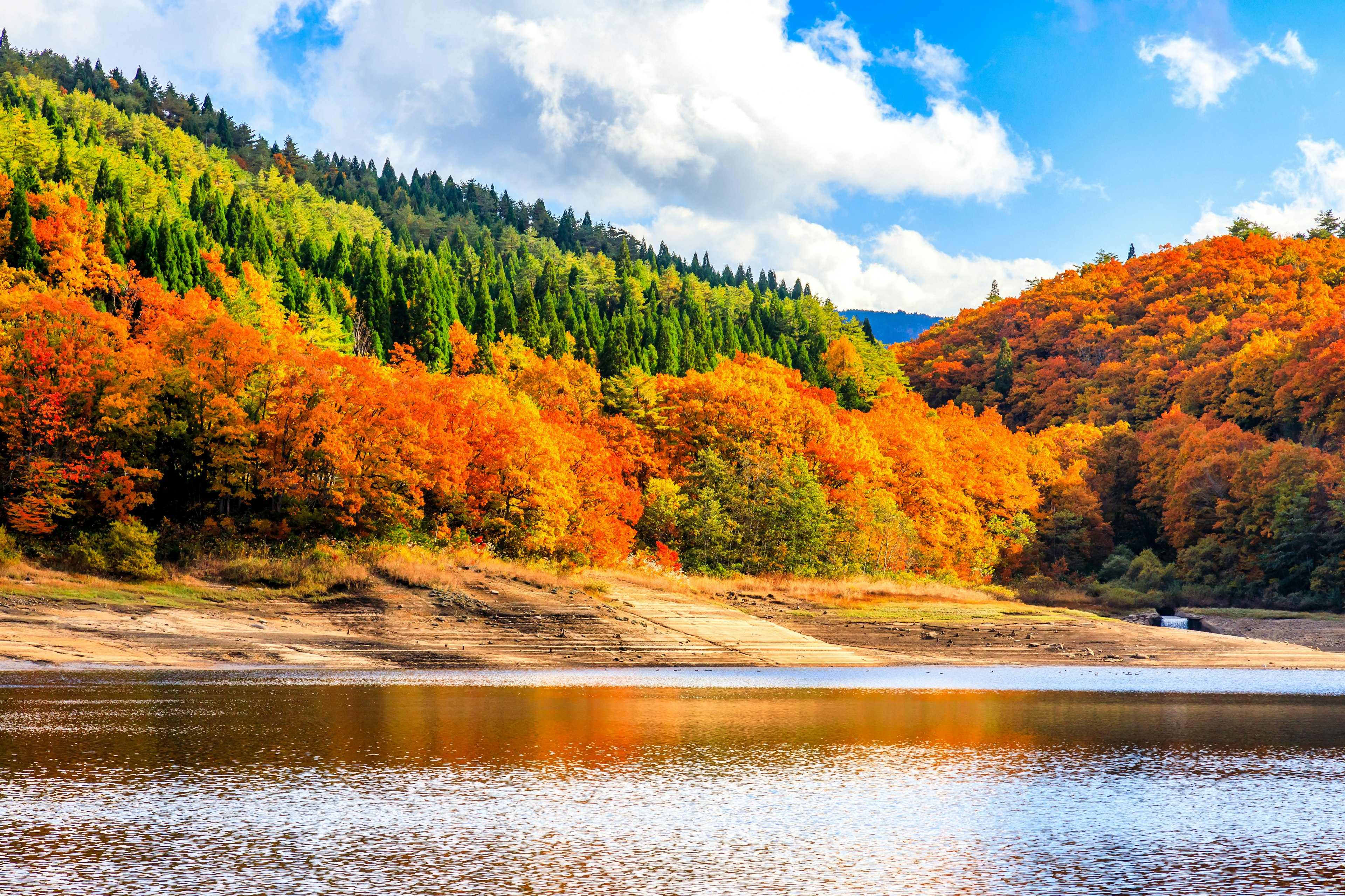 色とりどりの秋の木々と穏やかな湖の風景