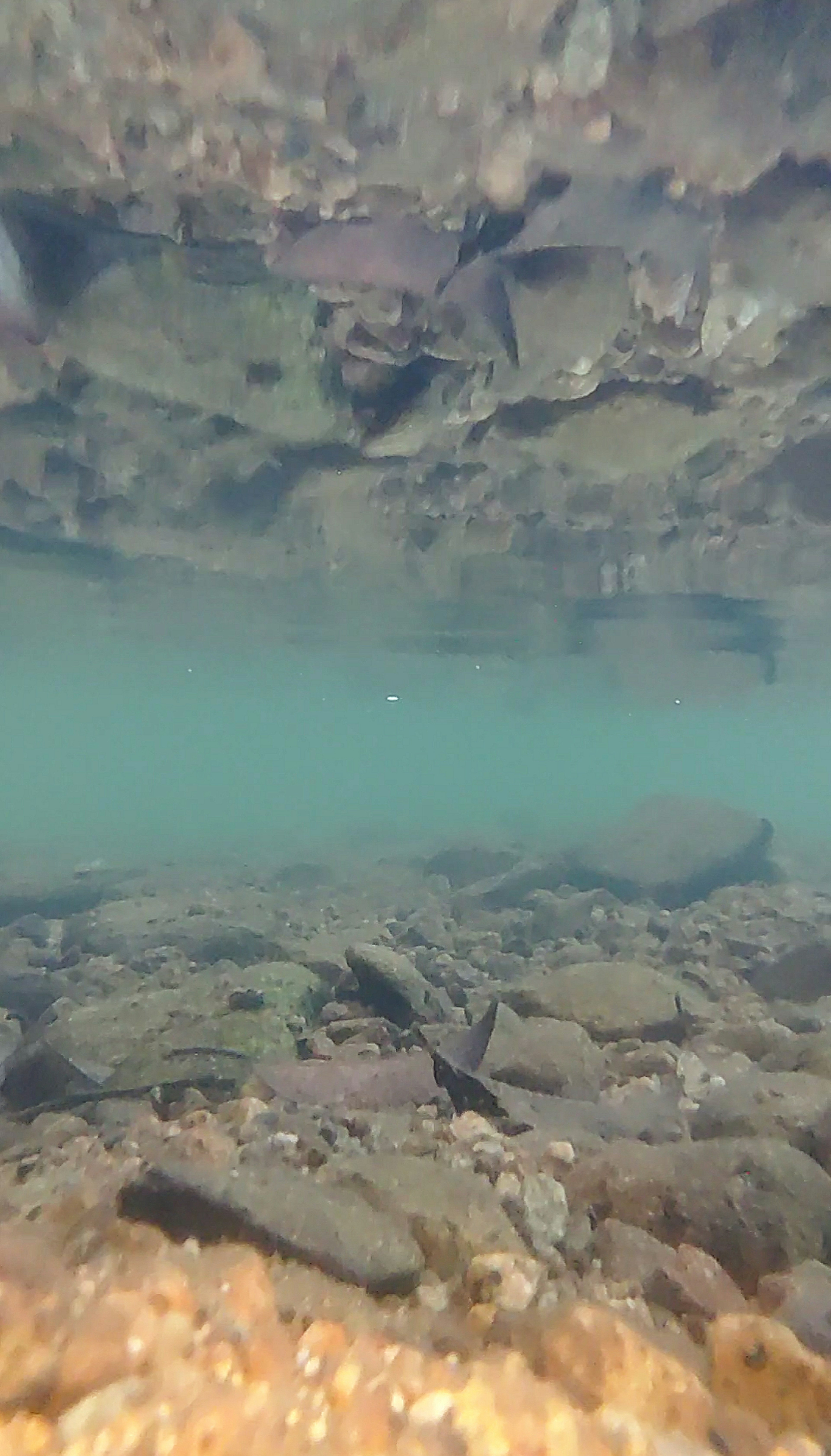 Acqua chiara che rivela rocce e ghiaia sotto la superficie