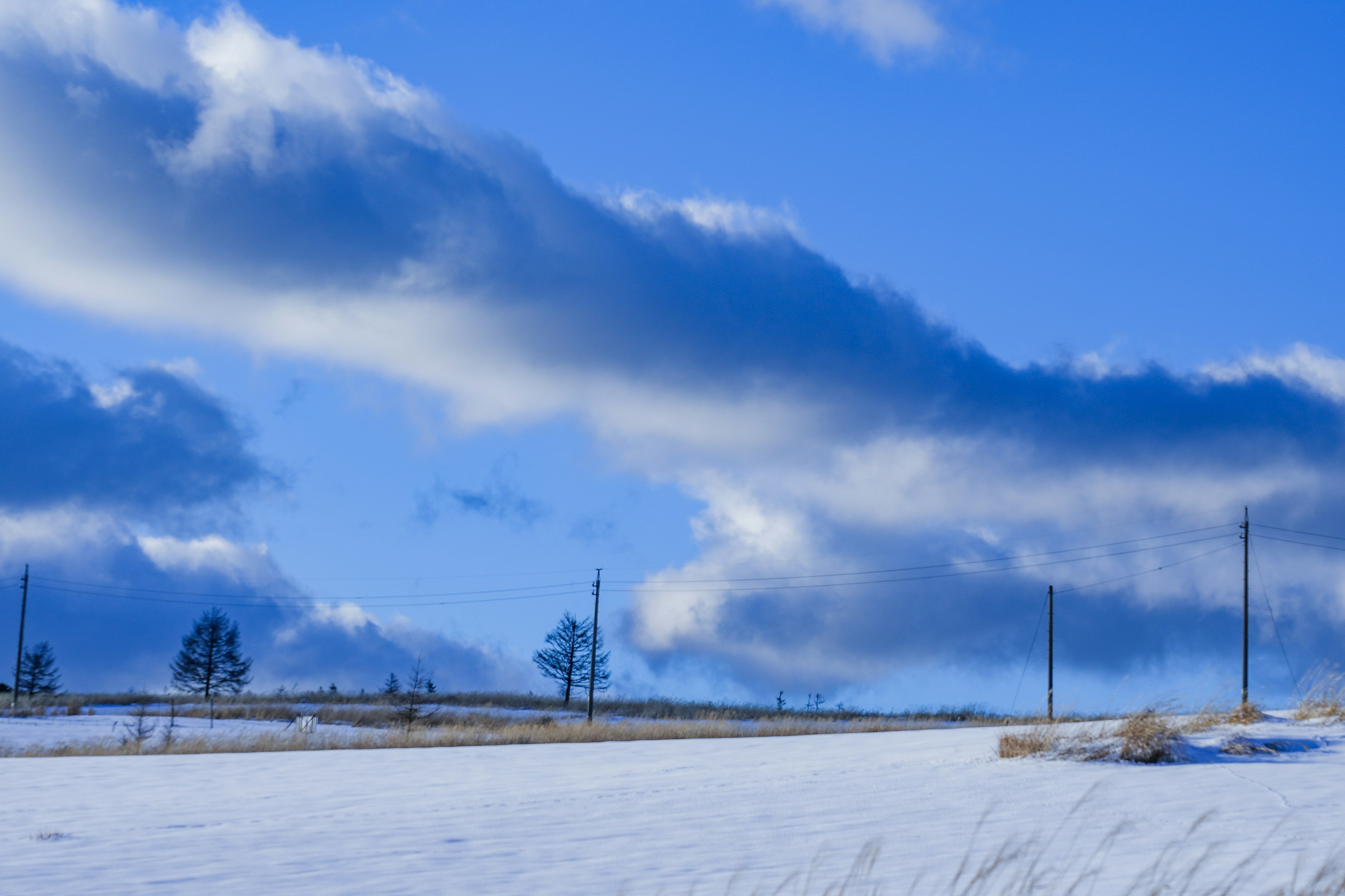 青空と雪に覆われた風景　遠くに立つ木々と電柱