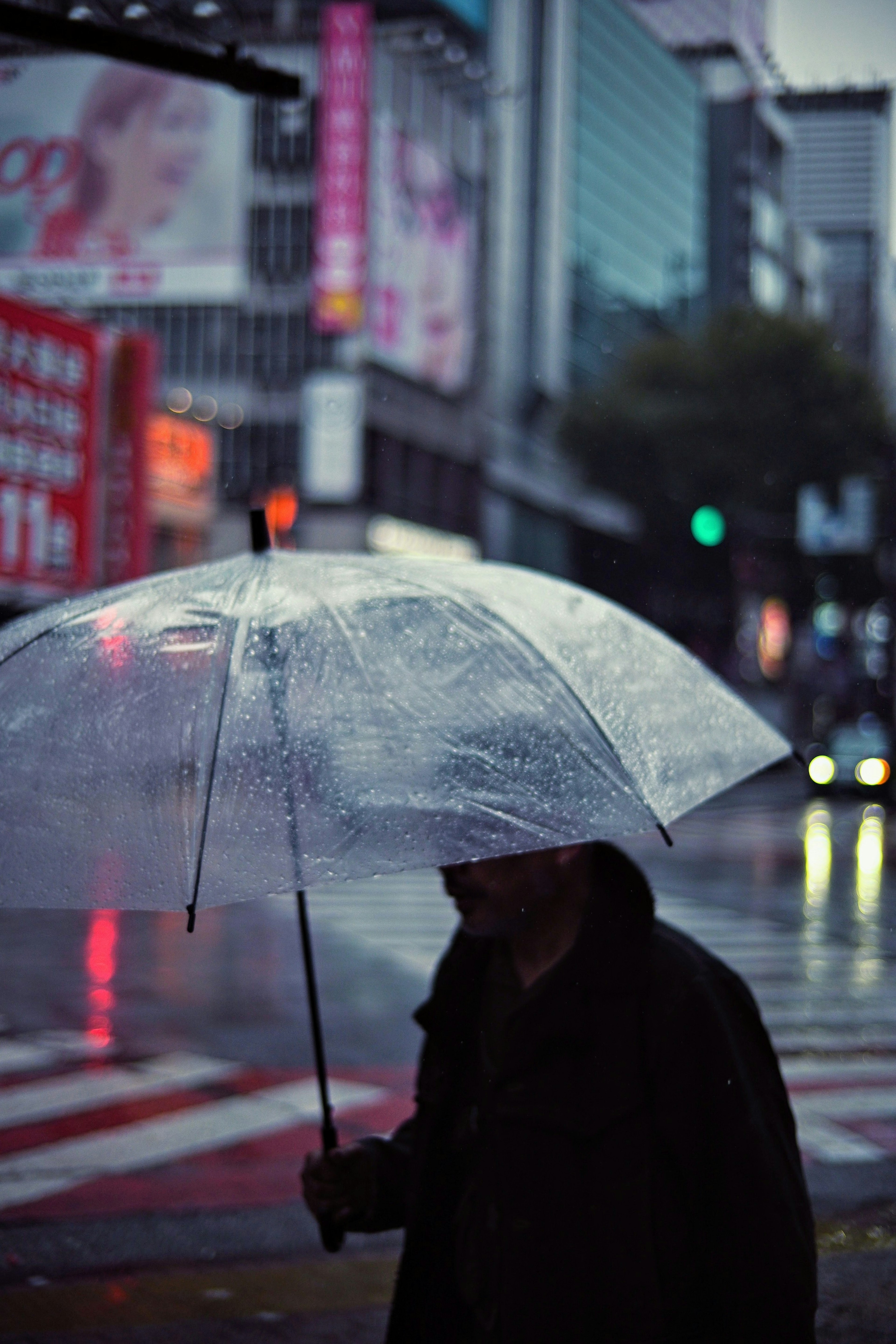 一个人在城市中雨中走在透明伞下