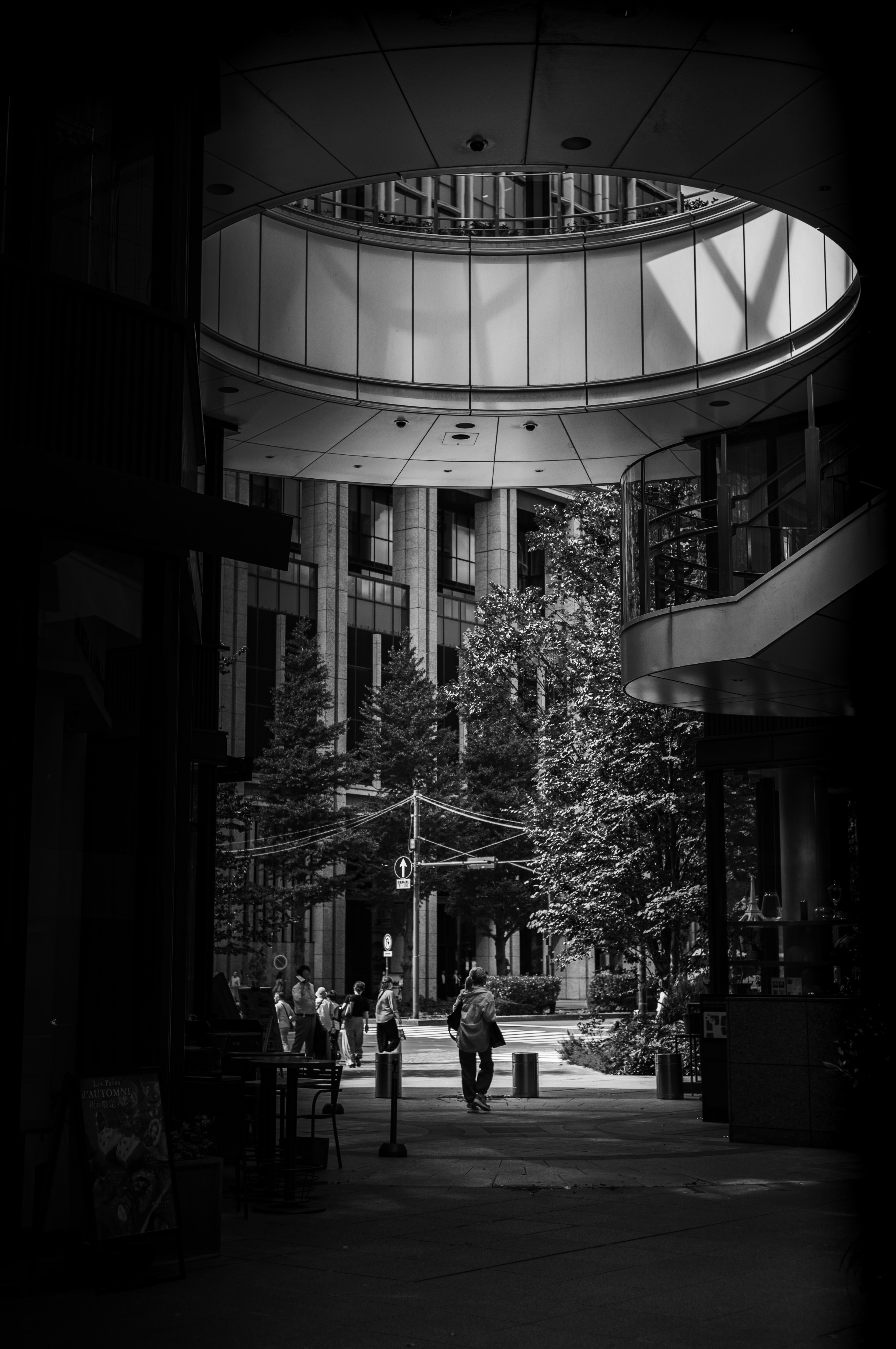 Architettura moderna e alberi in un vicolo urbano in bianco e nero