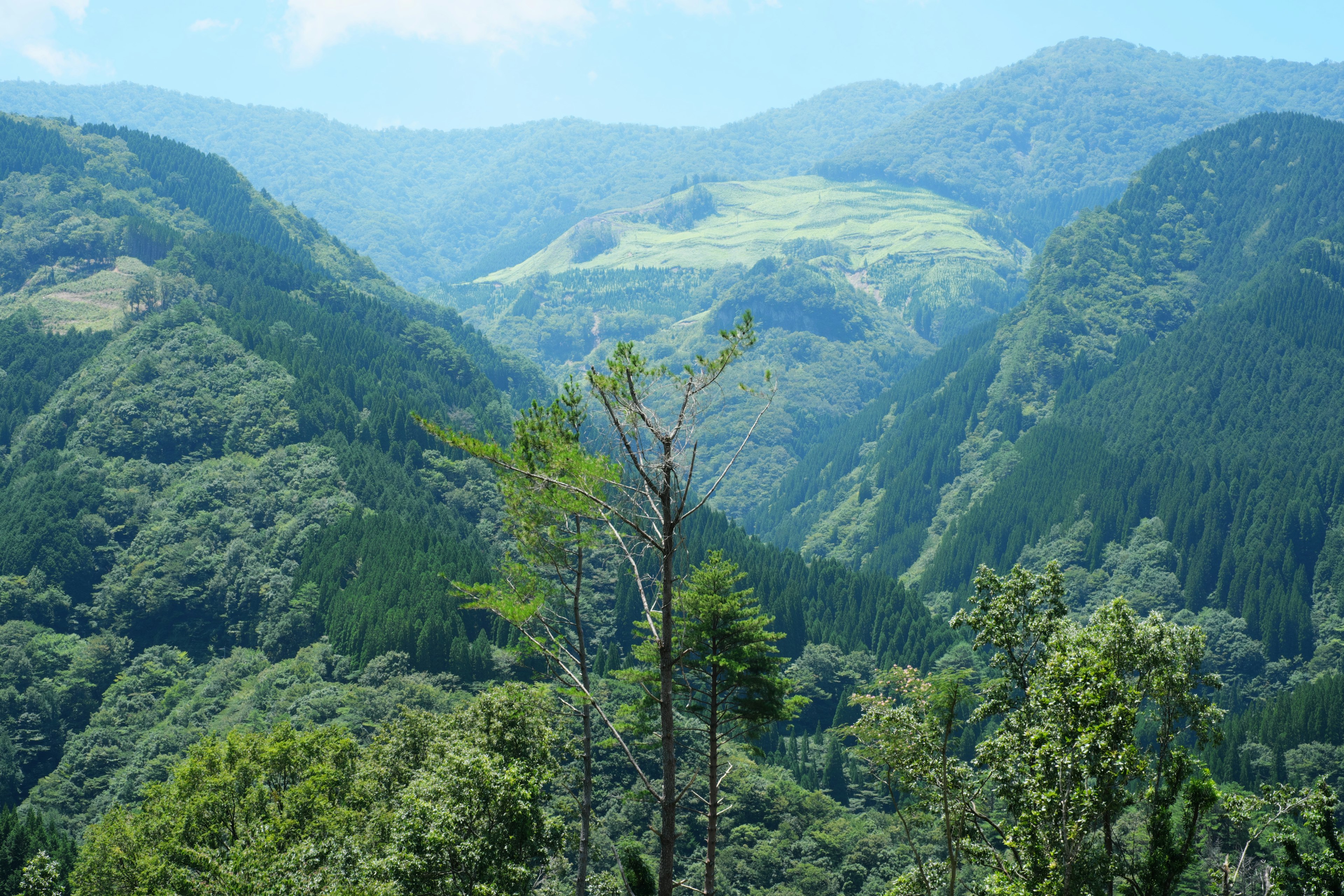 Paesaggio di valle lussureggiante circondato da belle montagne