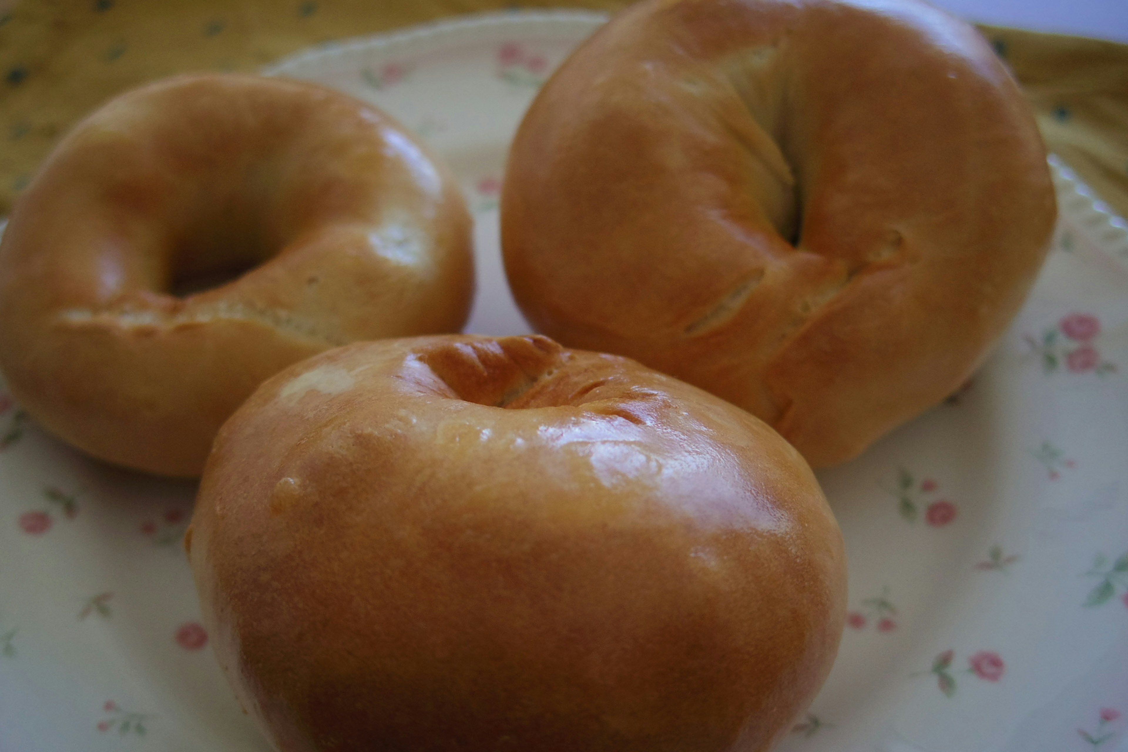 Three freshly baked bagels placed on a white plate