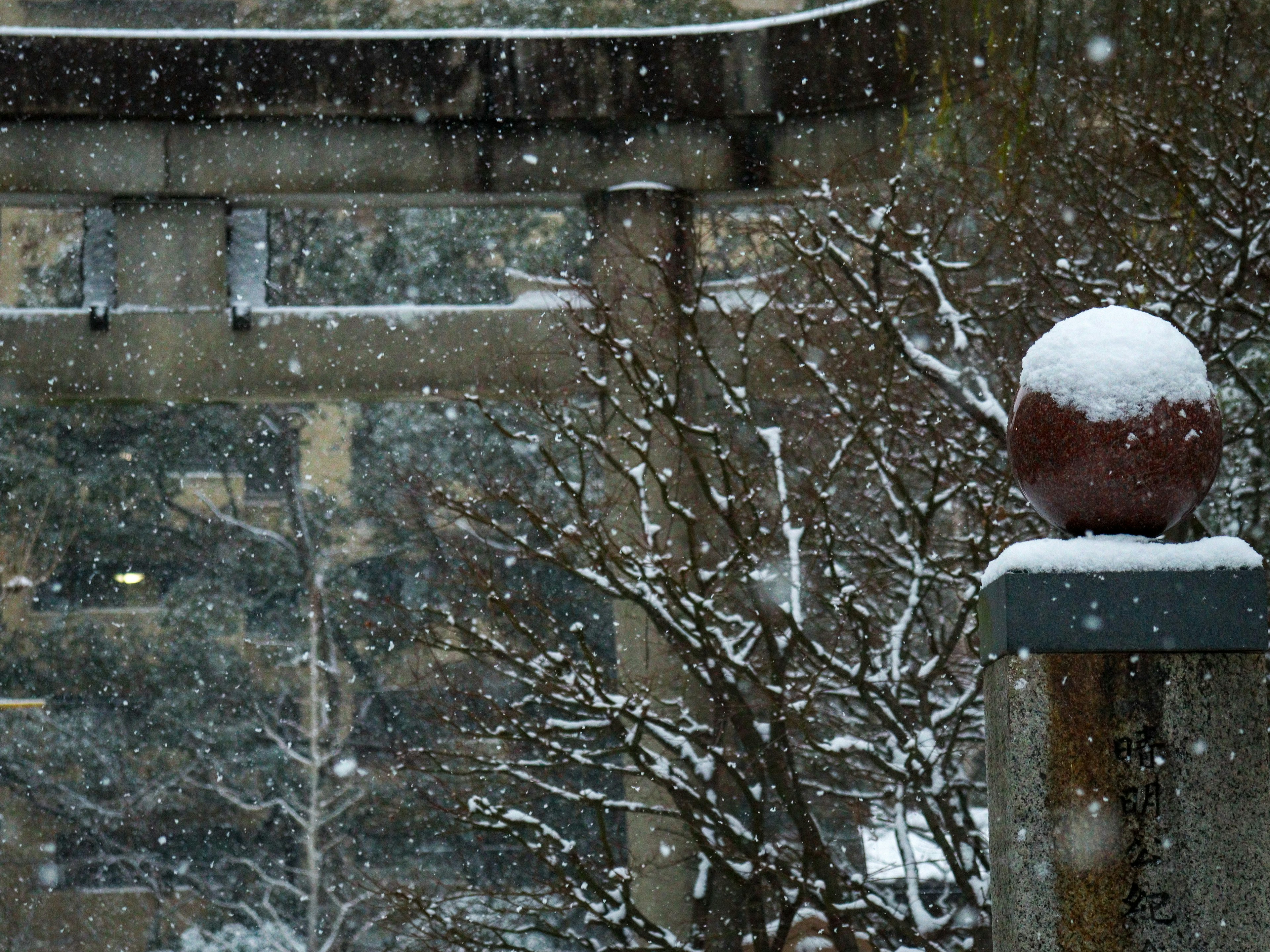 Snowy scene featuring a torii gate and snow-covered trees