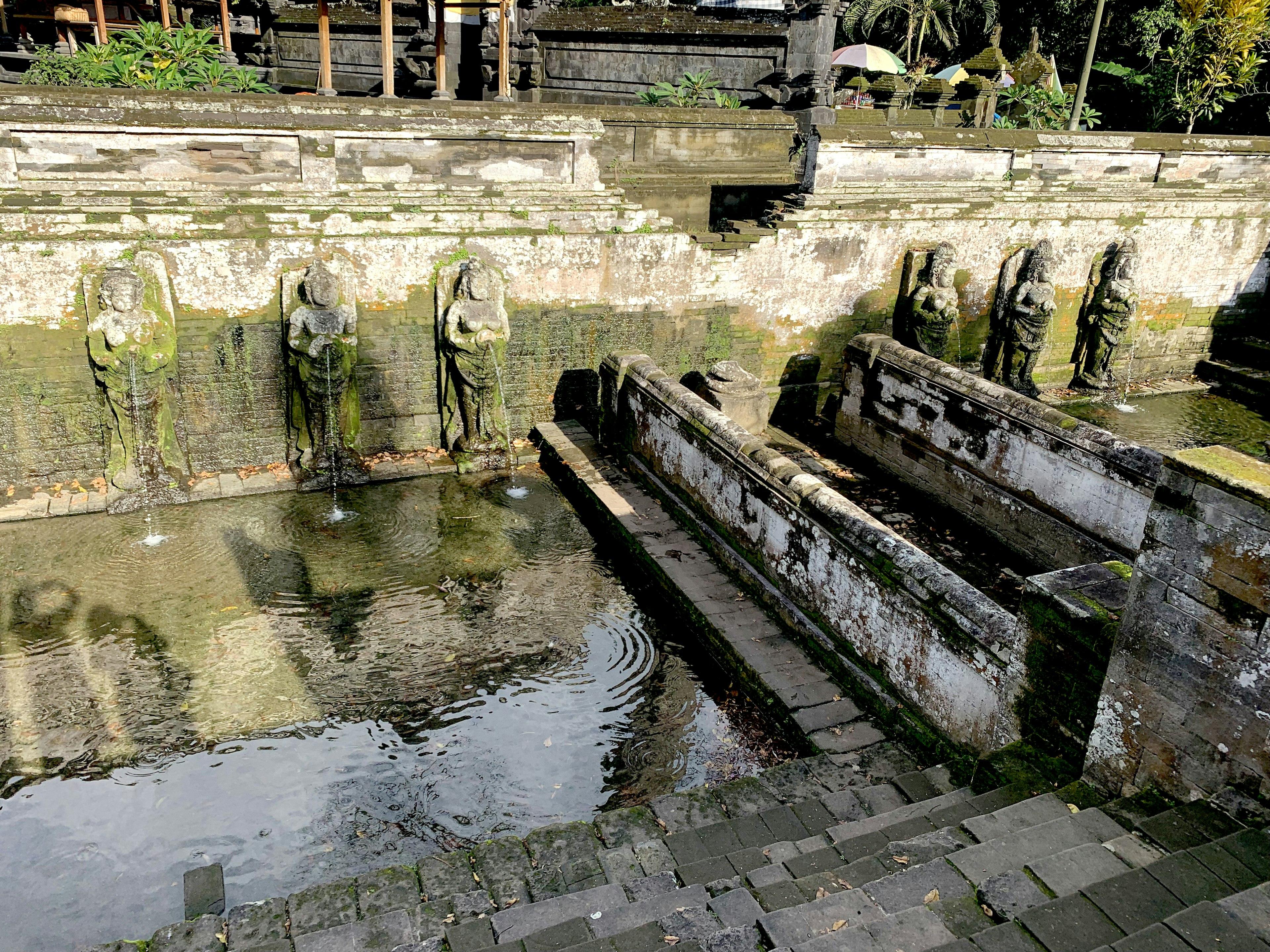 สถานที่น้ำศักดิ์สิทธิ์ที่วัด Tirtha Empul พร้อมการแกะสลักหินโบราณ