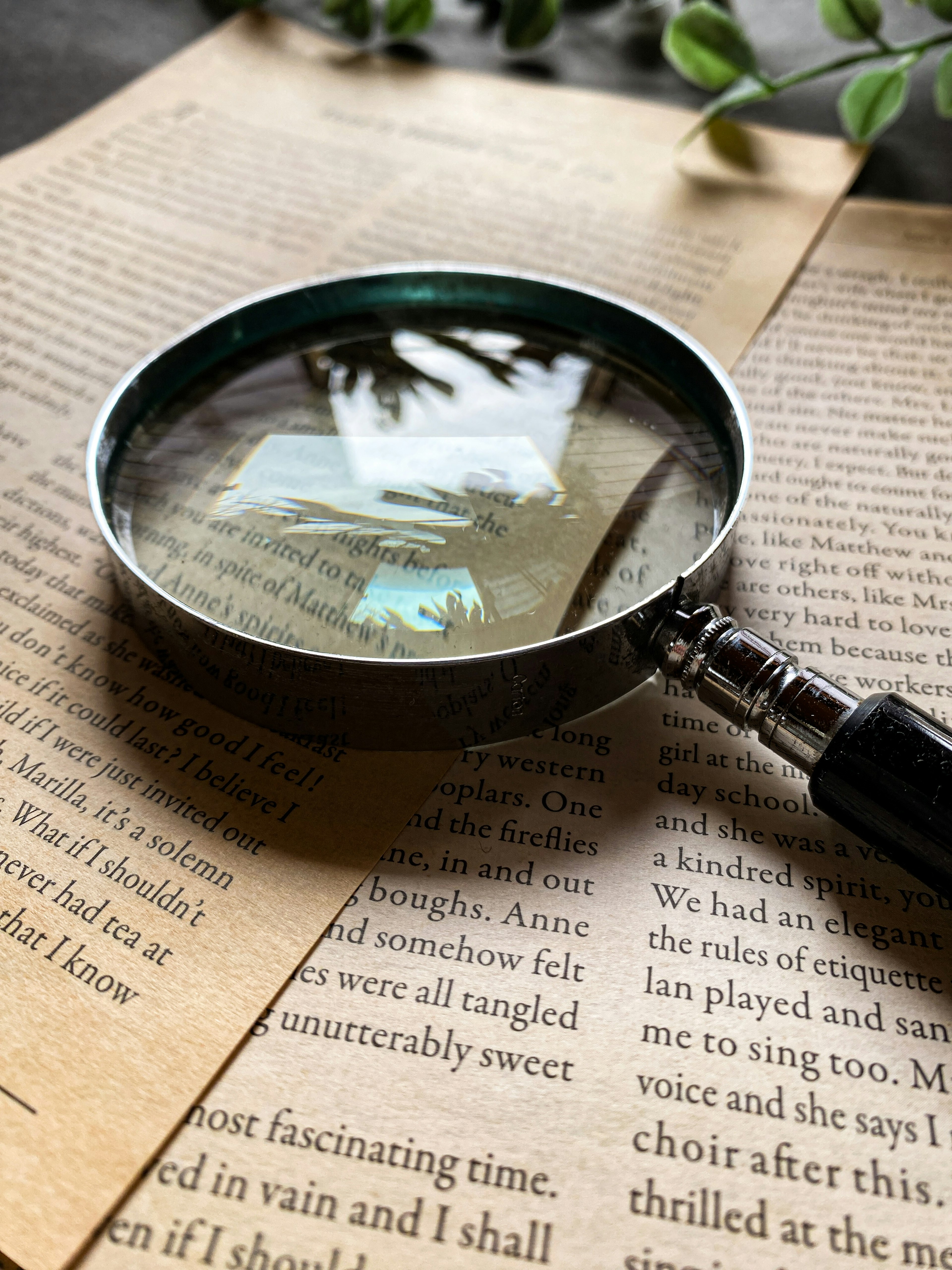 Magnifying glass placed on an old page with reflections of leaves