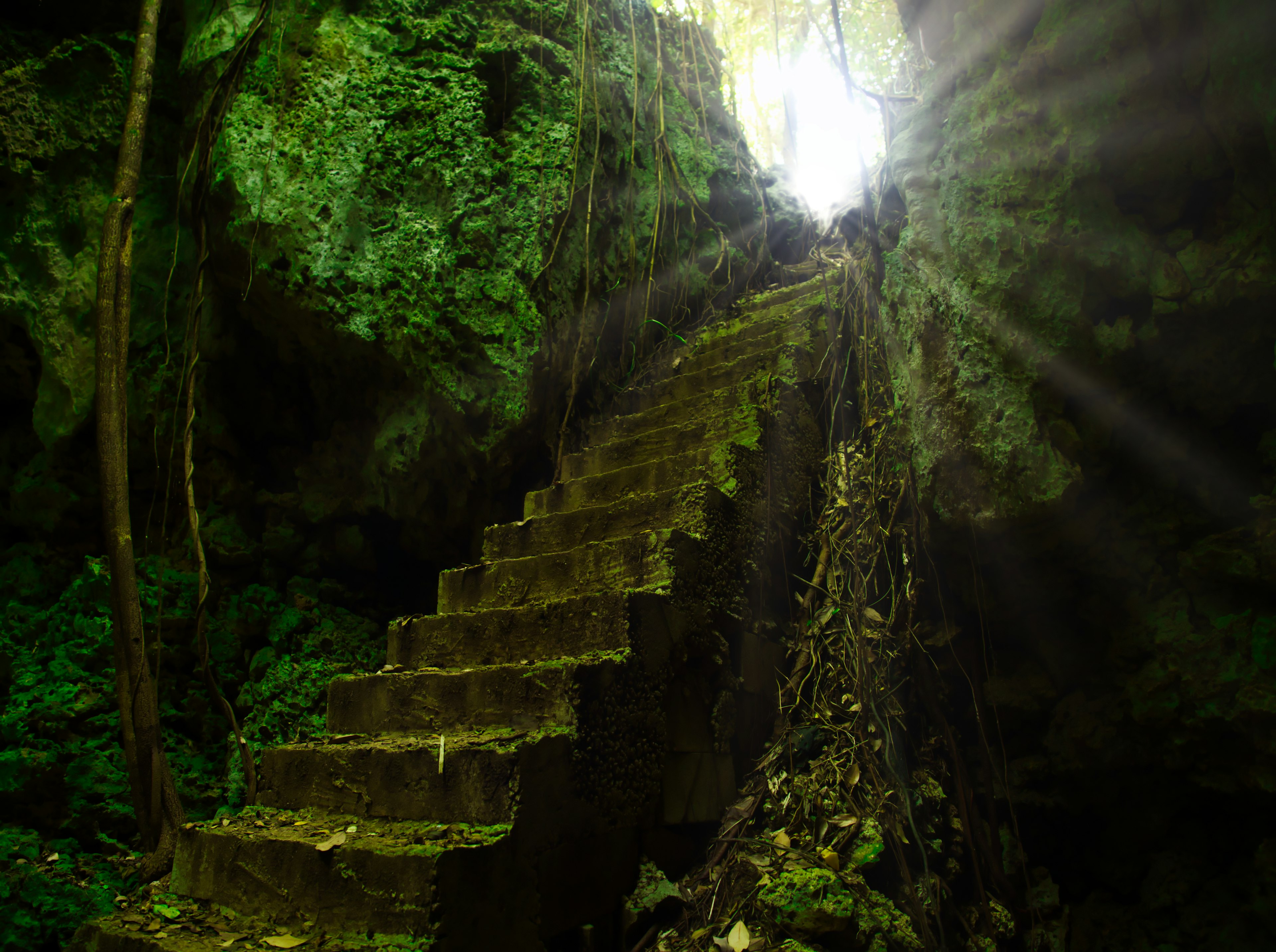 Stone staircase surrounded by greenery leading towards light