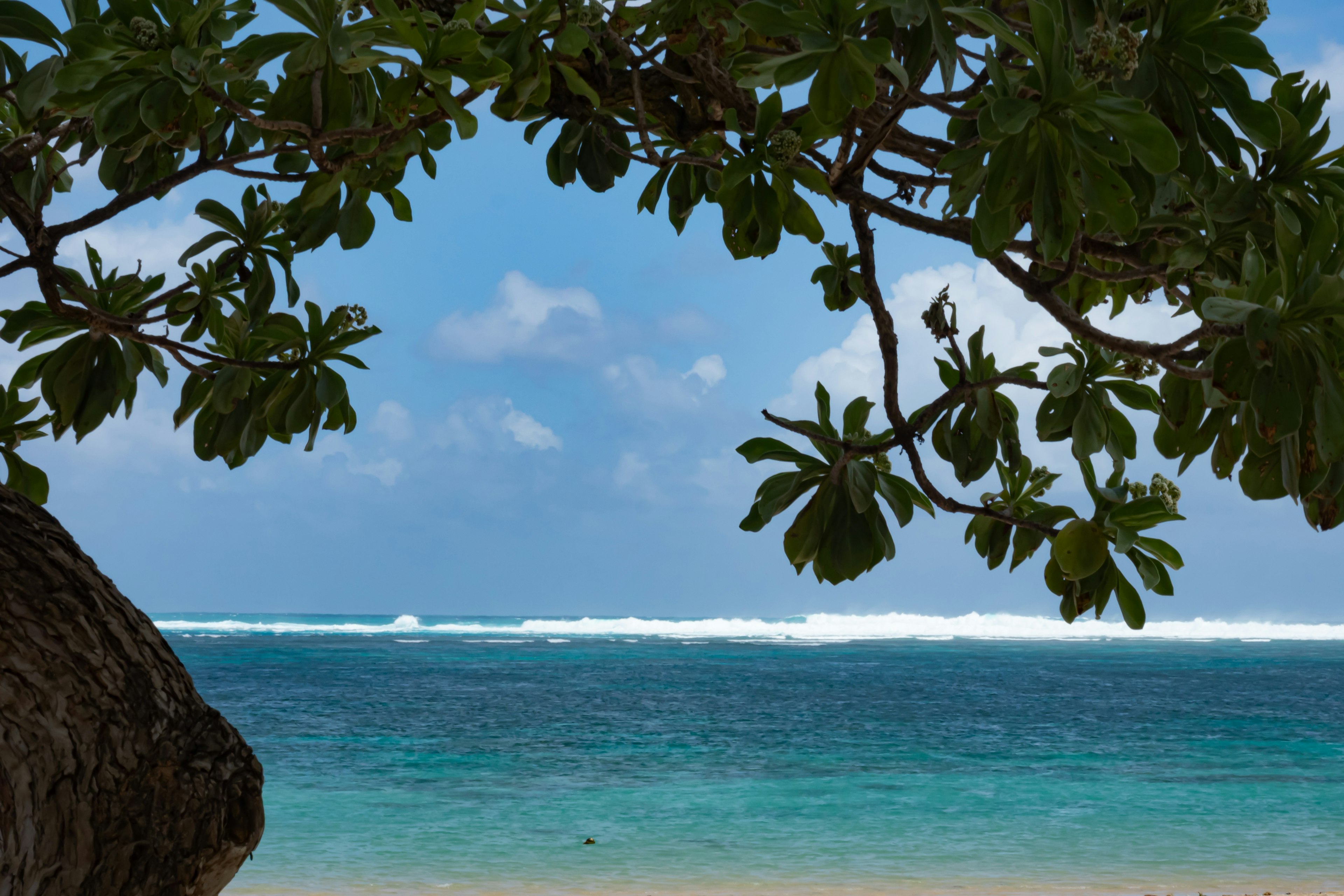 Scenic view of a beach with blue ocean and white waves Framed by tropical leaves