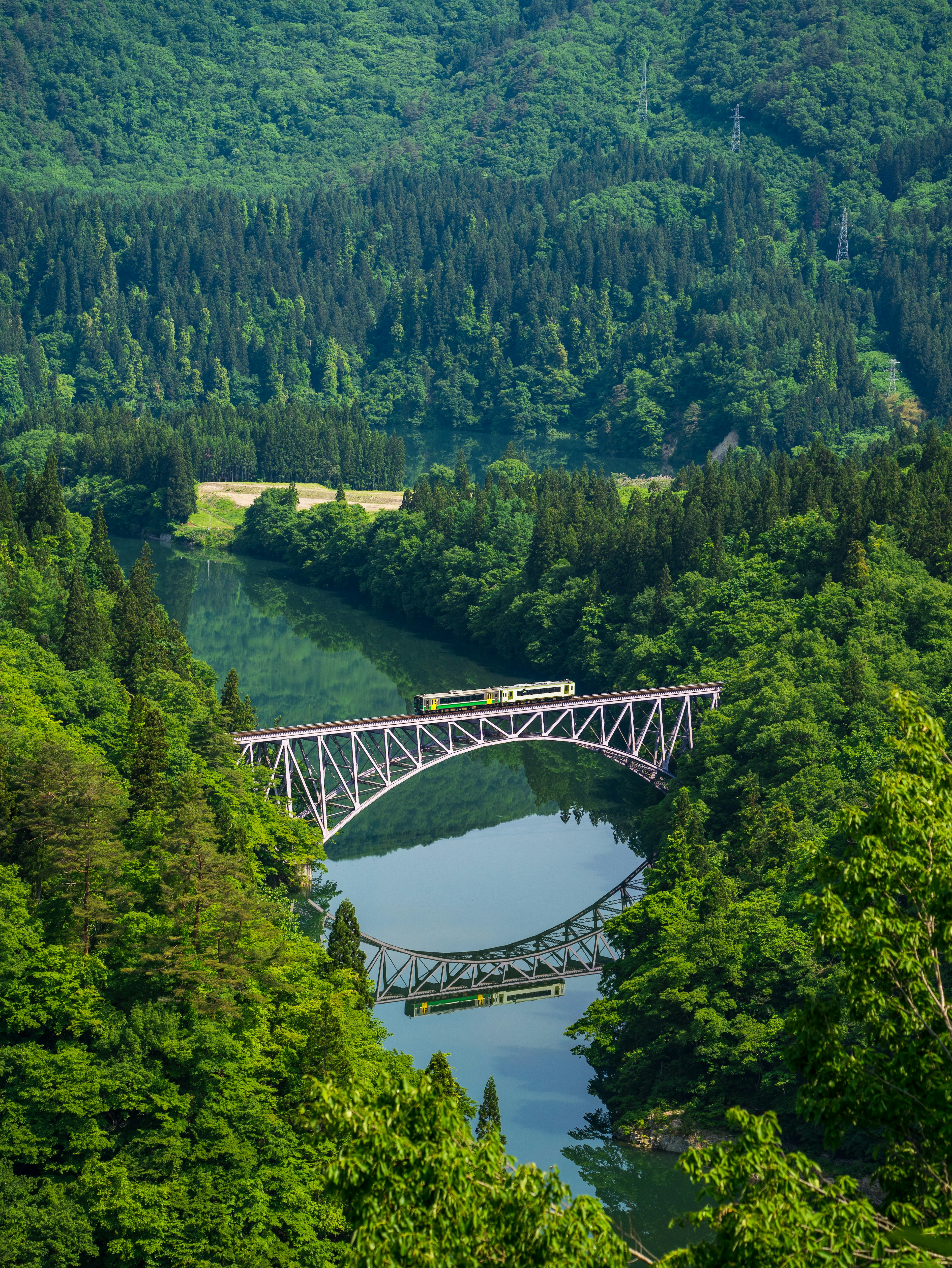 ทิวทัศน์ที่สวยงามของสะพานรถไฟข้ามแม่น้ำที่ถูกล้อมรอบด้วยพืชพรรณเขียวขจี