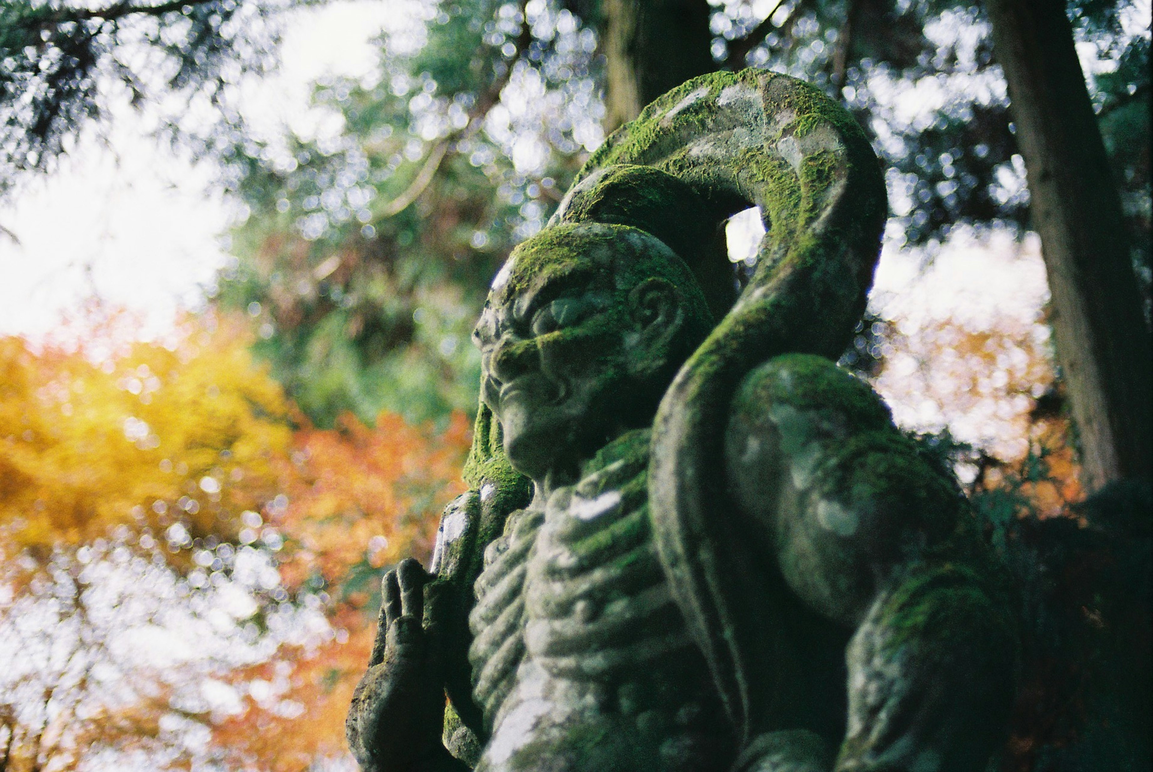 緑色の苔に覆われた神秘的な彫刻が立っている 背景には秋の色合いの木々が広がっている