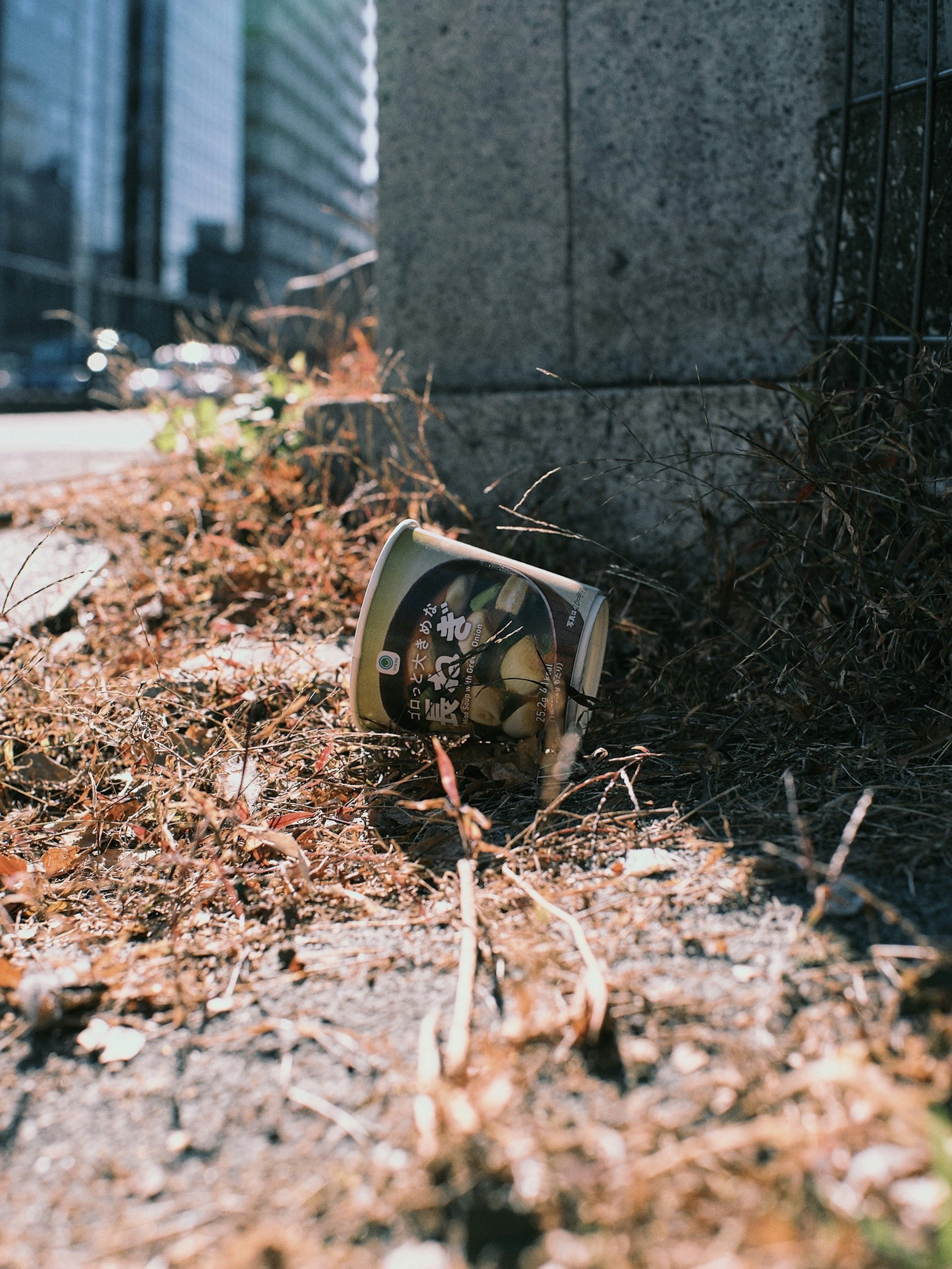 An empty cup lying on the roadside surrounded by dry grass