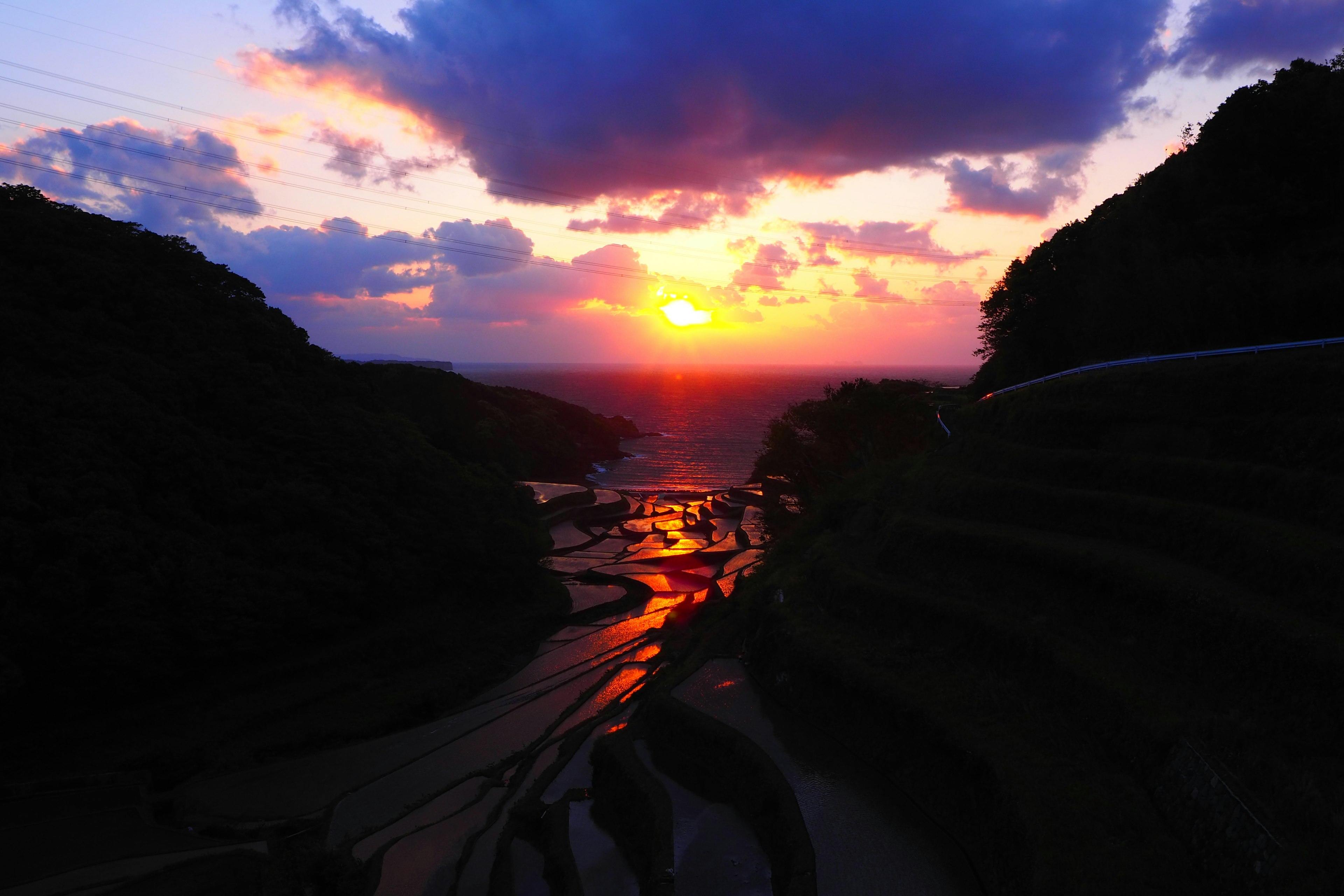 Schöner Sonnenuntergang, der sich auf Reisfeldern widerspiegelt